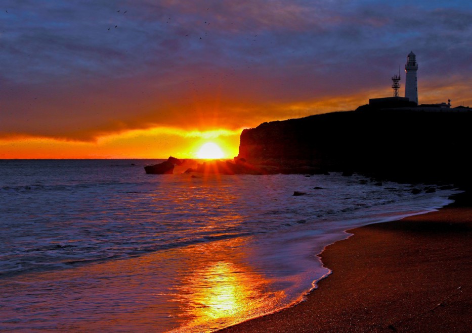 東京近郊銚子 銚子交通 銚子電鐵 東京前往銚子 JR特急しおさい 銚子溫泉 銚子住宿 銚子一泊二食 銚子酒店 銚子旅館 銚子飯店