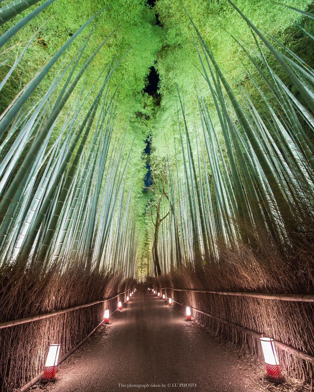 竹林小徑 嵐山必到 打卡地點