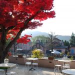 東京近郊一日遊！富士山X河口湖必去必食之選！