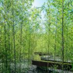 虹夕諾雅谷關 溫泉渡假村（HOSHINOYA Guguan）　酒店環境