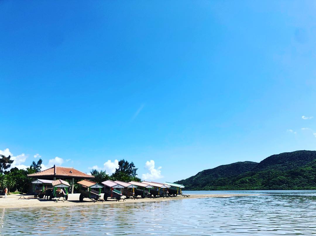 水牛車｜由布島（ゆぶしま｜Yubu Island）由布島景點 西表島由布島交通 由布島亞熱帶植物樂園 西表正治夫婦 由布島南國樂園