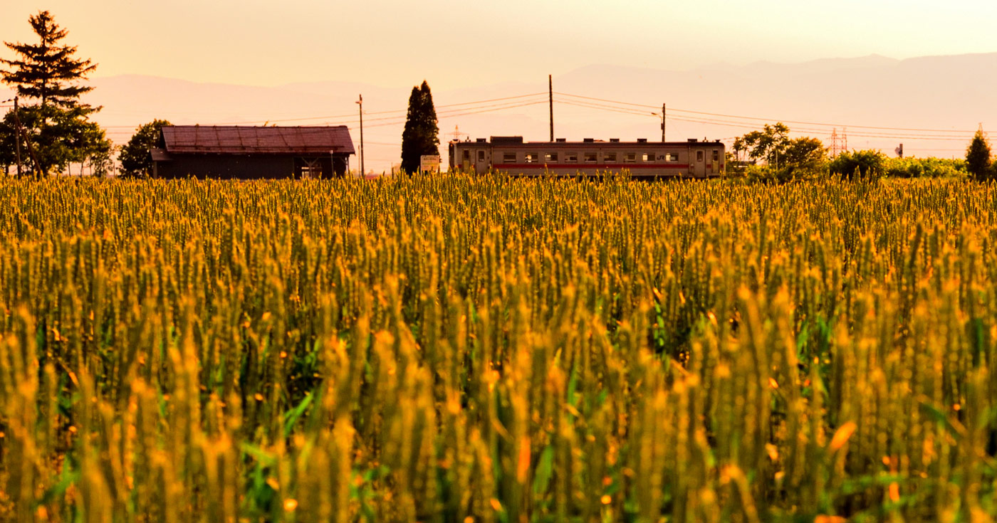 日本 Japan 日本必食 日本必吃 日本必到 日本必去 日本必買 日本必掃 日本自由行 日本行程 日本行程包 日本懶人包 日本好去處 日本景點 日本必到景點 日本必去景點 日本美食 日本交通 日本攻略 日本自由行行程 日本自由行行程推薦 日本必食2019 日本必吃2019 日本必到2019 日本必去2019 日本必買2019 日本必掃2019 日本自由行2019 日本行程2019 日本行程包2019 日本懶人包2019 日本好去處2019 日本景點2019 日本必到景點2019 日本必去景點2019 日本美食2019 日本交通2019 日本攻略2019 日本自由行行程2019 日本自由行行程推薦2019 北海道 Hokkaido 北海道必食 北海道必吃 北海道必到 北海道必去 北海道必買 北海道北海道必掃 北海道自由行 北海道行程 北海道行程包 北海道懶人包 北海道好去處 北海道景點 北海道必到景點 北海道必去景點 北海道美食 北海道交通 北海道攻略 北海道自由行行程 北海道自由行行程推薦 北海道必吃2019 北海道必到2019 北海道必去2019 北海道必買2019 北海道必掃2019 北海道自由行2019 北海道行程2019 北海道行程包2019 北海道懶人包2019 北海道好去處2019 北海道景點2019 北海道必到景點2019 北海道必去景點2019 北海道美食2019 北海道交通2019 北海道攻略2019 北海道自由行行程2019 北海道自由行行程推薦2019 JR北海道鐵路周遊券 JR北海道 北海道自駕 北海道jr pass價錢 北海道jr pass優惠 北海道jr pass指定席 北海道jr購票 北海道jr pass香港 北海道鐵路周遊券使用範圍 jr pass北海道取票 北海道jr停駛 jr東日本南北海道鐵路周遊券台灣 jr北海道巴士