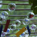 風鈴祭（風鈴まつり ） ｜京都宇治正壽院 風鈴祭 風鈴まつり 夏日期間限定