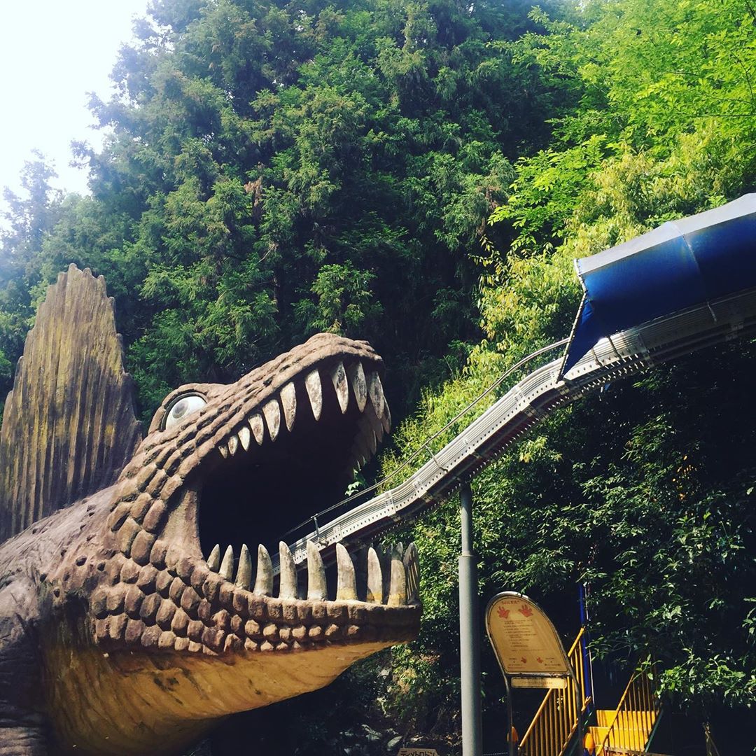 頑皮王國｜日本 Japan 日本必食 日本必吃 日本必到 日本必去 日本必買 日本必掃 日本自由行 日本行程 日本行程包 日本懶人包 日本好去處 日本景點 日本必到景點 日本必去景點 日本美食 日本交通 日本攻略 日本自由行行程 日本自由行行程推薦 日本必食2019 日本必吃2019 日本必到2019 日本必去2019 日本必買2019 日本必掃2019 日本自由行2019 日本行程2019 日本行程包2019 日本懶人包2019 日本好去處2019 日本景點2019 日本必到景點2019 日本必去景點2019 日本美食2019 日本交通2019 日本攻略2019 日本自由行行程2019 日本自由行行程推薦2019 大阪 Osaka 大阪必食 大阪必食 大阪必吃 大阪必到 大阪必去 大阪必買 大阪必掃 大阪自由行 大阪行程 大阪行程包 大阪懶人包 大阪好去處 大阪景點 大阪必到景點 大阪必去景點 大阪美食 大阪交通 大阪攻略 大阪自由行行程 大阪自由行行程推薦 大阪必食2019 大阪必吃2019 大阪必到2019 大阪必去2019 大阪必買2019 大阪必掃2019 大阪自由行2019 大阪行程2019 大阪行程包2019 大阪懶人包2019 大阪好去處2019 大阪景點2019 大阪必到景點2019 大阪必去景點2019 大阪美食2019 大阪交通2019 大阪攻略2019 大阪自由行行程2019 大阪自由行行程推薦2019 大阪親子 大阪親子遊 大阪親子自由行 大阪親子自由行行程 大阪親子自由行行程推薦 大阪親子攻略 大阪親子遊攻略 大阪親子自由行攻略 大阪親子自由行行程攻略 大阪親子景點 大阪親子遊景點 大阪親子必到 大阪親子遊必到 大阪親子自由行必到 大阪親子景點必到 大阪親子遊景點必到 大阪親子必去 大阪親子遊必去 大阪親子自由行必去 大阪親子景點必去 大阪親子遊景點必去 日本親子 日本親子遊 日本親子自由行 日本親子自由行行程 日本親子自由行行程推薦 日本親子攻略 日本親子遊攻略 日本親子自由行攻略 日本親子自由行行程攻略 日本親子景點 日本親子遊景點 日本親子必到 日本親子遊必到 日本親子自由行必到 日本親子景點必到 日本親子遊景點必到 日本親子必去 日本親子遊必去 日本親子自由行必去 日本親子景點必去 日本親子遊景點必去 大阪親子2019 大阪親子遊2019 大阪親子自由行2019 大阪親子自由行行程2019 大阪親子自由行行程推薦2019 大阪親子攻略2019 大阪親子遊攻略2019 大阪親子自由行攻略2019 大阪親子自由行行程攻略2019 大阪親子景點2019 大阪親子遊景點2019 大阪親子必到2019 大阪親子遊必到2019 大阪親子自由行必到2019 大阪親子景點必到2019 大阪親子遊景點必到2019 大阪親子必去2019 大阪親子遊必去2019 大阪親子自由行必去2019 大阪親子景點必去2019 大阪親子遊景點必去2019 日本親子2019 日本親子遊2019 日本親子自由行2019 日本親子自由行行程2019 日本親子自由行行程推薦2019 日本親子攻略2019 日本親子遊攻略2019 日本親子自由行攻略2019 日本親子自由行行程攻略2019 日本親子景點2019 日本親子遊景點2019 日本親子必到2019 日本親子遊必到2019 日本親子自由行必到2019 日本親子景點必到2019 日本親子遊景點必到2019 日本親子必去2019 日本親子遊必去2019 日本親子自由行必去2019 日本親子景點必去2019 日本親子遊景點必去2019 日本滑梯 大阪滑梯 日本滑梯公園 大阪滑梯公園 日本溜小孩好去處 大阪溜小孩好去處 和歌山恐龍溜滑梯 和歌山溜滑梯 和歌山親子公園 大阪長滑梯