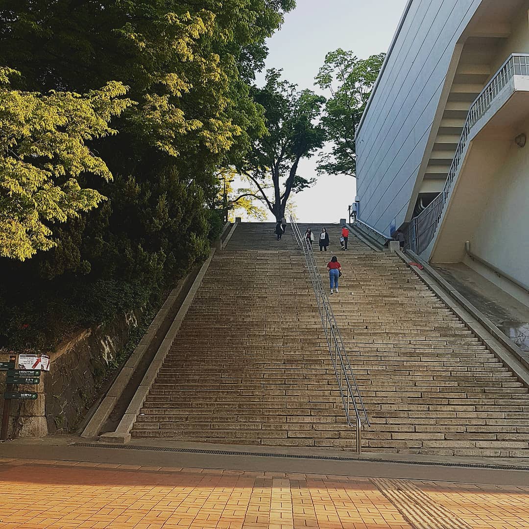 南山纜車 N首爾塔 交通 南山 步行 三順階梯 南山步行 南山 交通 南山交通 南山塔 交通 南山塔交通 南山首爾塔 交通 首爾塔 交通 首爾塔交通 南山巴士 南山 巴士 Synday Cheezzzball Kakao Friends主題樂園 Kakao Friends 主題樂園 韓國 Kakao Friends Kakao Friends RYAN CHEEZZZBALL ADVENTURE 라이언 치즈볼어드벤처 南山塔 南山首爾塔 首爾 Seoul 首爾必食 首爾必吃 首爾必到 首爾必去 首爾必買 首爾必掃 首爾自由行 首爾行程 首爾行程包 首爾懶人包 首爾好去處 首爾景點 首爾必到景點 首爾必去景點 首爾美食 首爾交通 首爾攻略 首爾自由行行程 首爾自由行行程推薦 首爾必食2019 首爾必吃2019 首爾必到2019 首爾必去2019 首爾必買2019 首爾必掃2019 首爾自由行2019 首爾行程2019 首爾行程包2019 首爾懶人包2019 首爾好去處2019 首爾景點2019 首爾必到景點2019 首爾必去景點2019 首爾美食2019 首爾交通2019 首爾攻略2019 首爾自由行行程2019 首爾自由行行程推薦2019 韓國 Korea 韓國必食 韓國必吃 韓國必到 韓國必去 韓國必買 韓國必掃 韓國自由行 韓國行程 韓國行程包 韓國懶人包 韓國好去處 韓國景點 韓國必到景點 韓國必去景點 韓國美食 韓國交通 韓國攻略 韓國自由行行程 韓國自由行行程推薦 韓國必食2019 韓國必吃2019 韓國必到2019 韓國必去2019 韓國必買2019 韓國必掃2019 韓國自由行2019 韓國行程2019 韓國行程包2019 韓國懶人包2019 韓國好去處2019 韓國景點2019 韓國必到景點2019 韓國必去景點2019 韓國美食2019 韓國交通2019 韓國攻略2019 韓國自由行行程2019 韓國自由行行程推薦2019