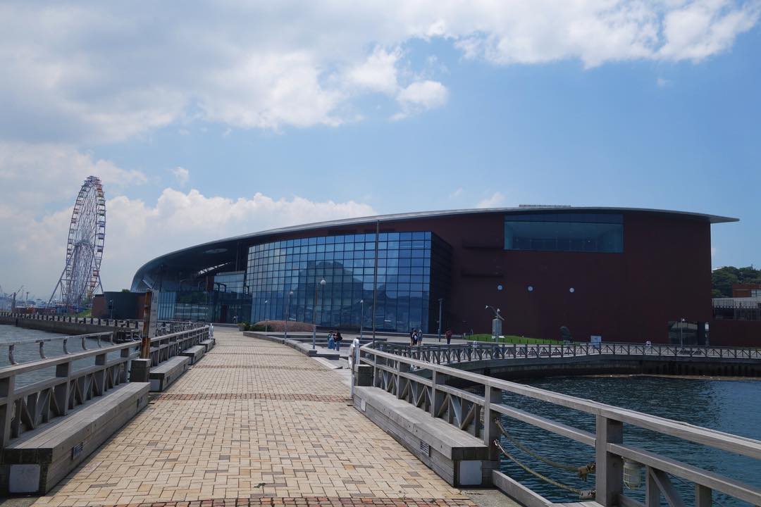 九州 Kyushu 九州必食 九州必吃 九州必到 九州必去 九州必買 九州必掃 九州自由行 九州行程 九州行程包 九州懶人包 九州好去處 九州景點 九州必到景點 九州必去景點 九州美食 九州交通 九州攻略 九州自由行行程 九州自由行行程推薦 九州必食2019 九州必吃2019 九州必到2019 九州必去2019 九州必買2019 九州必掃2019 九州自由行2019 九州行程2019 九州行程包2019 九州懶人包2019 九州好去處2019 九州景點2019 九州必到景點2019 九州必去景點2019 九州美食2019 九州交通2019 九州攻略2019 九州自由行行程2019 九州自由行行程推薦2019 海響館 海豚表演 海響館 企鵝村 海響館 企鵝隧道 海響館 企鵝 下關景點 下關好去處 下關必去 下關必吃 下關美食 下關市 門司港 小倉行程 小倉一日遊 小倉景點 小倉必去 小倉必吃 小倉美食 小倉自由行 九州自由行 九州景點 九州好去處 九州水族館 福岡水族館 下關水族館 九州 水族館 福岡 水族館 下關 水族館