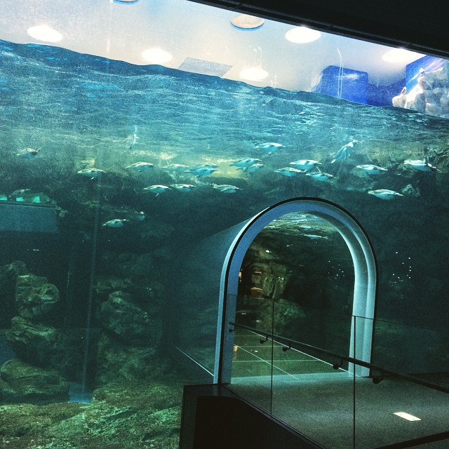 九州 Kyushu 九州必食 九州必吃 九州必到 九州必去 九州必買 九州必掃 九州自由行 九州行程 九州行程包 九州懶人包 九州好去處 九州景點 九州必到景點 九州必去景點 九州美食 九州交通 九州攻略 九州自由行行程 九州自由行行程推薦 九州必食2019 九州必吃2019 九州必到2019 九州必去2019 九州必買2019 九州必掃2019 九州自由行2019 九州行程2019 九州行程包2019 九州懶人包2019 九州好去處2019 九州景點2019 九州必到景點2019 九州必去景點2019 九州美食2019 九州交通2019 九州攻略2019 九州自由行行程2019 九州自由行行程推薦2019 海響館 海豚表演 海響館 企鵝村 海響館 企鵝隧道 海響館 企鵝 下關景點 下關好去處 下關必去 下關必吃 下關美食 下關市 門司港 小倉行程 小倉一日遊 小倉景點 小倉必去 小倉必吃 小倉美食 小倉自由行 九州自由行 九州景點 九州好去處 九州水族館 福岡水族館 下關水族館 九州 水族館 福岡 水族館 下關 水族館