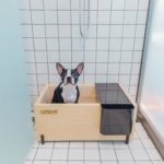 寵物友善酒店 環保酒店 江南區 江南住宿 江南酒店 江南飯店 江南住宿推介 江南酒店推介 江南飯店推介 江南住宿推薦 江南酒店推薦 江南飯店推薦 首爾卡布奇諾酒店 Hotel Cappuccino 卡布奇諾酒店 - 首爾 Hotel Cappuccino Seoul Hotel Cappuccino Cappuccino Seoul 韓國 Korea 韓國自由行 韓國酒店 韓國飯店 韓國酒店推薦 韓國飯店推薦 韓國必住酒店 韓國必住飯店 韓國飯店推介 韓國飯店推介 韓國住宿 韓國住宿推薦 韓國住宿推介 韓國住宿2019 韓國住宿推薦2019 韓國住宿推介2019 首爾 Seoul 首爾住宿 首爾酒店 首爾飯店 首爾住宿推薦 首爾住宿推介 首爾酒店推薦 首爾酒店推介 首爾飯店推薦 首爾飯店推介 首爾必住酒店 首爾必住飯店 首爾住宿2019 首爾酒店2019 首爾飯店2019 首爾酒店推薦2019 首爾酒店推介2019 首爾飯店推薦2019 首爾飯店推介2019 首爾必住酒店2019 首爾必住飯店2019