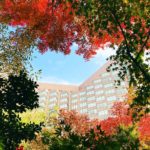 椿山莊紅葉 東京紅葉酒店｜東京市內溫泉酒店 東京市內溫泉飯店 東京椿山莊酒店 Hotel Chinzanso Tokyo