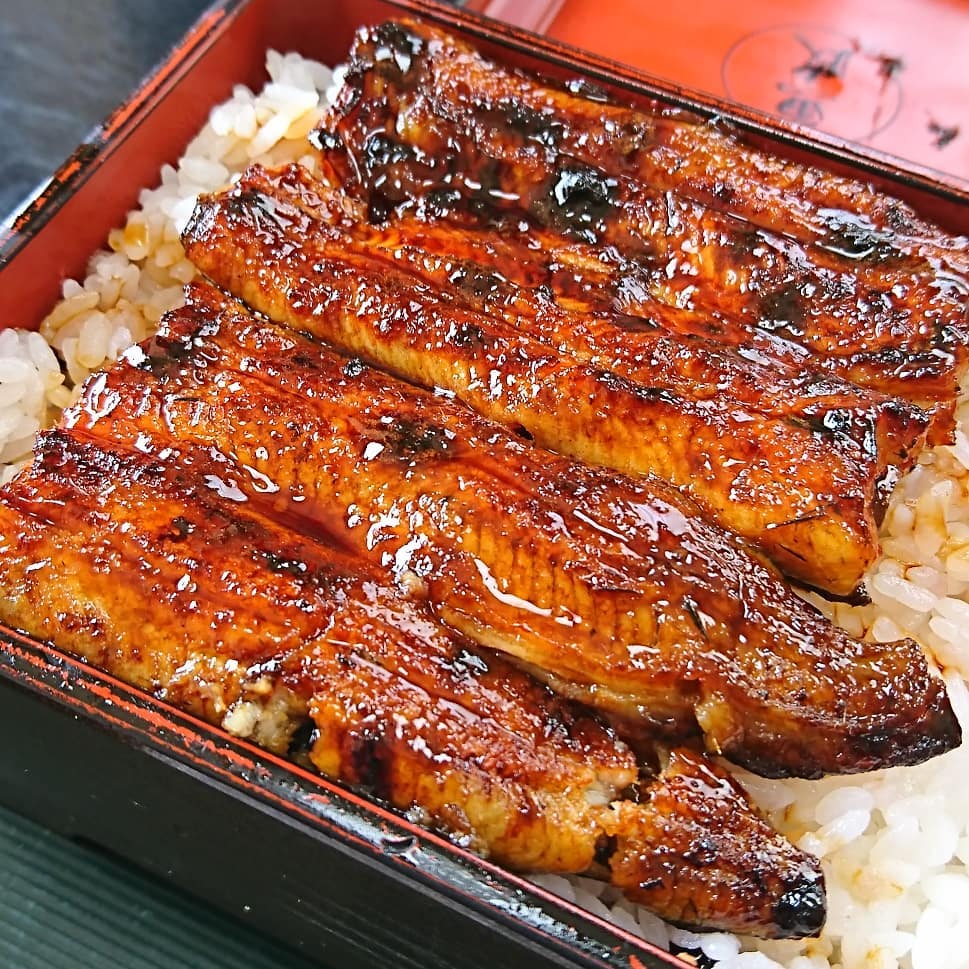 うおまさ うなぎ 魚政 うなぎ 魚政鰻魚飯 うなぎ 魚政 鰻魚飯 鰻重 うな重 東京 鰻魚 東京 東京鰻魚飯 推薦 日本 鰻魚 飯 東京鰻魚 鰻魚 飯 東京 備長 鰻魚 飯 鰻魚飯 東京 東京鰻魚飯 東京 鰻魚 飯 東京 鰻魚飯 備長鰻魚飯 東京 Tokyo 東京必食 東京必吃 東京美食 東京美食2019 東京必食2019 東京必吃2019