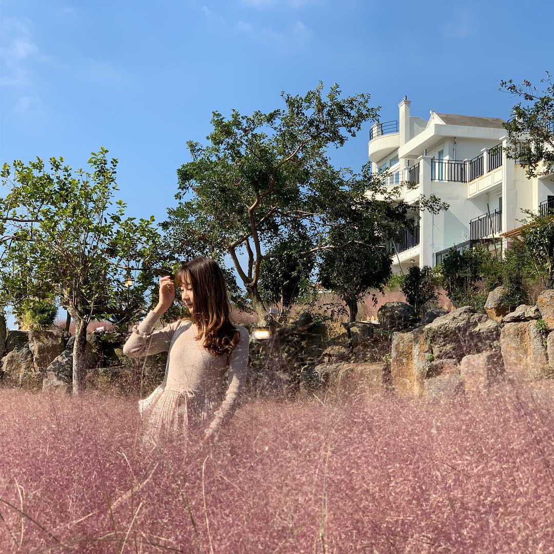 Manor Blanc粉黛亂子草 Manor Blanc 粉黛亂子草 Manor Blanc粉紅亂子草 Manor Blanc 粉紅亂子草 Manor Blanc粉紅芒草 Manor Blanc 粉紅芒草 Manor Blanc Manor Blanc Café 마노르블랑 濟州島 粉黛亂子草 景點 濟州島 粉紅亂子草 景點 濟州島 粉紅芒草 景點 濟州粉黛亂子草 濟州 粉黛亂子草 景點 濟州 粉紅亂子草 景點 濟州 粉紅芒草 景點 濟州 秋天 賞花 景點 濟州島 秋天 賞花 景點 濟州秋天賞花 濟州島秋天賞花 濟州賞花 濟州島賞花 濟州 濟州島 Jeju 濟州島好去處2019 濟州島景點2019 濟州島必到景點2019 濟州島必去景點2019 濟州島必到2019 濟州島必去2019 濟州島必到 濟州島必去 濟州島好去處 濟州島景點 濟州島必到景點 濟州島必去景點 濟州好去處2019 濟州景點2019 濟州必到景點2019 濟州必去景點2019 濟州必到 濟州必去 濟州必到2019 濟州必去2019 濟州好去處 濟州景點 濟州必到景點 濟州必去景點 釜山好去處2019 釜山景點2019 釜山必到景點2019 釜山必去景點2019 釜山景點 釜山必到景點 釜山必去景點 釜山 粉紅亂子草 景點 釜山 粉紅芒草 景點 釜山 粉黛亂子草 景點 釜山 Busan 釜山打卡 釜山打卡必去 釜山賞花 釜山秋天 釜山 秋天 賞花 釜山粉黛亂子草 韓國打卡 韓國打卡必去 首爾打卡 首爾打卡必去 粉黛亂子草景點 韓國 粉黛亂子草 景點 韓國 粉紅芒草 景點 韓國 粉紅亂子草 景點 首爾 粉紅亂子草 首爾 粉紅芒草 景點 首爾粉紅芒草 首爾粉黛亂子草 首爾 粉黛亂子草 景點 首爾 首爾賞花 首爾 秋天 賞花 首爾秋天 首爾 Seoul 首爾必到 首爾好去處2019 首爾景點2019 首爾必到景點2019 首爾必去景點2019 首爾必到2019 首爾必去2019 首爾必去 首爾好去處 首爾景點 首爾必到景點 首爾必去景點 韓國 Korea 韓國必到 韓國必去 韓國自由行 韓國好去處 韓國景點 韓國必到景點 韓國必去景點 韓國必到2019 韓國必去2019 韓國好去處2019 韓國景點2019 韓國必到景點2019 韓國必去景點2019 韓國賞花 韓國 秋天 賞花 韓國秋天