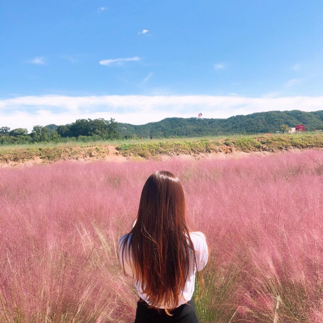 양주나리공원 楊州Nari公園 粉紅亂子草 楊州Nari公園粉紅亂子草 楊州Nari公園粉黛亂子草 楊州Nari公園 粉黛亂子草 楊州Nari公園 粉紅芒草 京畿道 粉黛亂子草 京畿道粉黛亂子草 京畿道 粉紅亂子草 京畿道粉紅亂子草 京畿道 粉紅芒草 京畿道粉紅芒草 首爾近郊 京畿道景點 楊州Nari公園 濟州島 粉黛亂子草 景點 濟州島 粉紅亂子草 景點 濟州島 粉紅芒草 景點 濟州粉黛亂子草 濟州 粉黛亂子草 景點 濟州 粉紅亂子草 景點 濟州 粉紅芒草 景點 濟州 秋天 賞花 景點 濟州島 秋天 賞花 景點 濟州秋天賞花 濟州島秋天賞花 濟州賞花 濟州島賞花 濟州 濟州島 Jeju 濟州島好去處2019 濟州島景點2019 濟州島必到景點2019 濟州島必去景點2019 濟州島必到2019 濟州島必去2019 濟州島必到 濟州島必去 濟州島好去處 濟州島景點 濟州島必到景點 濟州島必去景點 濟州好去處2019 濟州景點2019 濟州必到景點2019 濟州必去景點2019 濟州必到 濟州必去 濟州必到2019 濟州必去2019 濟州好去處 濟州景點 濟州必到景點 濟州必去景點 釜山好去處2019 釜山景點2019 釜山必到景點2019 釜山必去景點2019 釜山景點 釜山必到景點 釜山必去景點 釜山 粉紅亂子草 景點 釜山 粉紅芒草 景點 釜山 粉黛亂子草 景點 釜山 Busan 釜山打卡 釜山打卡必去 釜山賞花 釜山秋天 釜山 秋天 賞花 釜山粉黛亂子草 韓國打卡 韓國打卡必去 首爾打卡 首爾打卡必去 粉黛亂子草景點 韓國 粉黛亂子草 景點 韓國 粉紅芒草 景點 韓國 粉紅亂子草 景點 首爾 粉紅亂子草 首爾 粉紅芒草 景點 首爾粉紅芒草 首爾粉黛亂子草 首爾 粉黛亂子草 景點 首爾 首爾賞花 首爾 秋天 賞花 首爾秋天 首爾 Seoul 首爾必到 首爾好去處2019 首爾景點2019 首爾必到景點2019 首爾必去景點2019 首爾必到2019 首爾必去2019 首爾必去 首爾好去處 首爾景點 首爾必到景點 首爾必去景點 韓國 Korea 韓國必到 韓國必去 韓國自由行 韓國好去處 韓國景點 韓國必到景點 韓國必去景點 韓國必到2019 韓國必去2019 韓國好去處2019 韓國景點2019 韓國必到景點2019 韓國必去景點2019 韓國賞花 韓國 秋天 賞花 韓國秋天