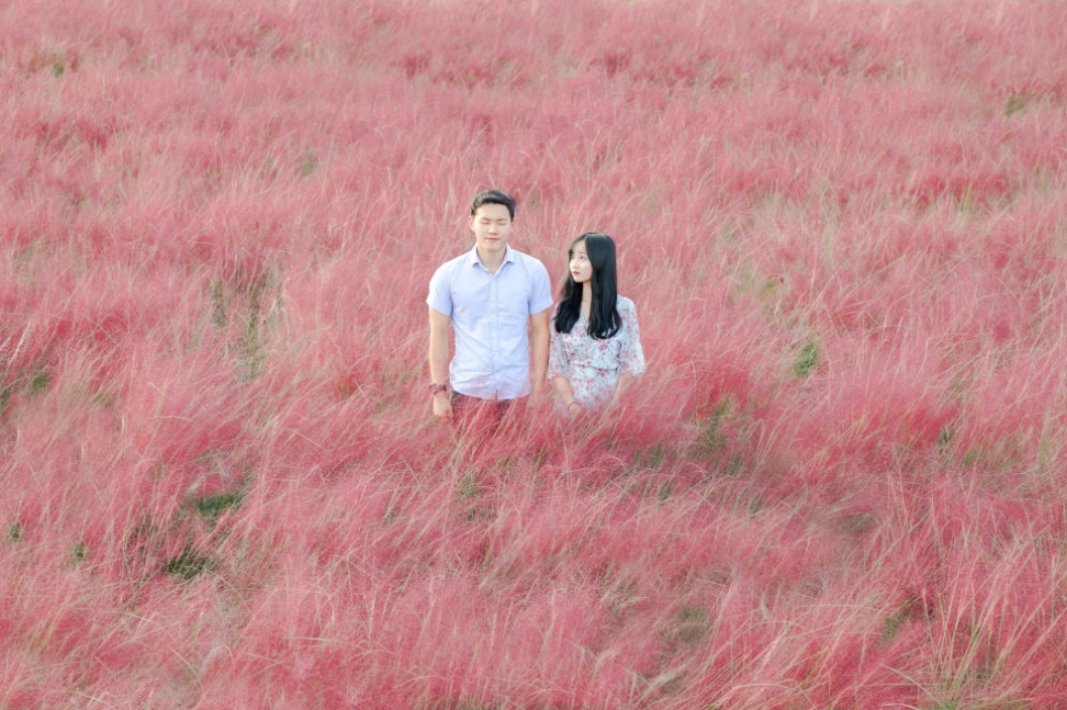 양주나리공원 楊州Nari公園 粉紅亂子草 楊州Nari公園粉紅亂子草 楊州Nari公園粉黛亂子草 楊州Nari公園 粉黛亂子草 楊州Nari公園 粉紅芒草 京畿道 粉黛亂子草 京畿道粉黛亂子草 京畿道 粉紅亂子草 京畿道粉紅亂子草 京畿道 粉紅芒草 京畿道粉紅芒草 首爾近郊 京畿道景點 楊州Nari公園 濟州島 粉黛亂子草 景點 濟州島 粉紅亂子草 景點 濟州島 粉紅芒草 景點 濟州粉黛亂子草 濟州 粉黛亂子草 景點 濟州 粉紅亂子草 景點 濟州 粉紅芒草 景點 濟州 秋天 賞花 景點 濟州島 秋天 賞花 景點 濟州秋天賞花 濟州島秋天賞花 濟州賞花 濟州島賞花 濟州 濟州島 Jeju 濟州島好去處2019 濟州島景點2019 濟州島必到景點2019 濟州島必去景點2019 濟州島必到2019 濟州島必去2019 濟州島必到 濟州島必去 濟州島好去處 濟州島景點 濟州島必到景點 濟州島必去景點 濟州好去處2019 濟州景點2019 濟州必到景點2019 濟州必去景點2019 濟州必到 濟州必去 濟州必到2019 濟州必去2019 濟州好去處 濟州景點 濟州必到景點 濟州必去景點 釜山好去處2019 釜山景點2019 釜山必到景點2019 釜山必去景點2019 釜山景點 釜山必到景點 釜山必去景點 釜山 粉紅亂子草 景點 釜山 粉紅芒草 景點 釜山 粉黛亂子草 景點 釜山 Busan 釜山打卡 釜山打卡必去 釜山賞花 釜山秋天 釜山 秋天 賞花 釜山粉黛亂子草 韓國打卡 韓國打卡必去 首爾打卡 首爾打卡必去 粉黛亂子草景點 韓國 粉黛亂子草 景點 韓國 粉紅芒草 景點 韓國 粉紅亂子草 景點 首爾 粉紅亂子草 首爾 粉紅芒草 景點 首爾粉紅芒草 首爾粉黛亂子草 首爾 粉黛亂子草 景點 首爾 首爾賞花 首爾 秋天 賞花 首爾秋天 首爾 Seoul 首爾必到 首爾好去處2019 首爾景點2019 首爾必到景點2019 首爾必去景點2019 首爾必到2019 首爾必去2019 首爾必去 首爾好去處 首爾景點 首爾必到景點 首爾必去景點 韓國 Korea 韓國必到 韓國必去 韓國自由行 韓國好去處 韓國景點 韓國必到景點 韓國必去景點 韓國必到2019 韓國必去2019 韓國好去處2019 韓國景點2019 韓國必到景點2019 韓國必去景點2019 韓國賞花 韓國 秋天 賞花 韓國秋天