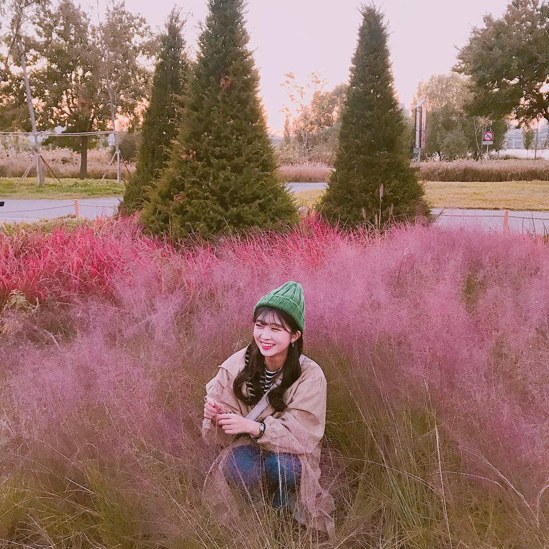 뚝섬한강공원 瑞來島Grass Garden 粉黛亂子草 瑞來島Grass Garden粉黛亂子草 瑞來島 Grass Garden 瑞來島Grass Garden粉紅芒草 瑞來島Grass Garden 粉紅芒草 纛島漢江公園 粉紅亂子草 纛島漢江公園粉紅亂子草 纛島漢江公園 粉黛亂子草 纛島漢江公園粉黛亂子草 纛島漢江公園 粉紅芒草 纛島漢江公園粉紅芒草 濟州島 粉黛亂子草 景點 濟州島 粉紅亂子草 景點 濟州島 粉紅芒草 景點 濟州粉黛亂子草 濟州 粉黛亂子草 景點 濟州 粉紅亂子草 景點 濟州 粉紅芒草 景點 濟州 秋天 賞花 景點 濟州島 秋天 賞花 景點 濟州秋天賞花 濟州島秋天賞花 濟州賞花 濟州島賞花 濟州 濟州島 Jeju 濟州島好去處2019 濟州島景點2019 濟州島必到景點2019 濟州島必去景點2019 濟州島必到2019 濟州島必去2019 濟州島必到 濟州島必去 濟州島好去處 濟州島景點 濟州島必到景點 濟州島必去景點 濟州好去處2019 濟州景點2019 濟州必到景點2019 濟州必去景點2019 濟州必到 濟州必去 濟州必到2019 濟州必去2019 濟州好去處 濟州景點 濟州必到景點 濟州必去景點 釜山好去處2019 釜山景點2019 釜山必到景點2019 釜山必去景點2019 釜山景點 釜山必到景點 釜山必去景點 釜山 粉紅亂子草 景點 釜山 粉紅芒草 景點 釜山 粉黛亂子草 景點 釜山 Busan 釜山打卡 釜山打卡必去 釜山賞花 釜山秋天 釜山 秋天 賞花 釜山粉黛亂子草 韓國打卡 韓國打卡必去 首爾打卡 首爾打卡必去 粉黛亂子草景點 韓國 粉黛亂子草 景點 韓國 粉紅芒草 景點 韓國 粉紅亂子草 景點 首爾 粉紅亂子草 首爾 粉紅芒草 景點 首爾粉紅芒草 首爾粉黛亂子草 首爾 粉黛亂子草 景點 首爾 首爾賞花 首爾 秋天 賞花 首爾秋天 首爾 Seoul 首爾必到 首爾好去處2019 首爾景點2019 首爾必到景點2019 首爾必去景點2019 首爾必到2019 首爾必去2019 首爾必去 首爾好去處 首爾景點 首爾必到景點 首爾必去景點 韓國 Korea 韓國必到 韓國必去 韓國自由行 韓國好去處 韓國景點 韓國必到景點 韓國必去景點 韓國必到2019 韓國必去2019 韓國好去處2019 韓國景點2019 韓國必到景點2019 韓國必去景點2019 韓國賞花 韓國 秋天 賞花 韓國秋天