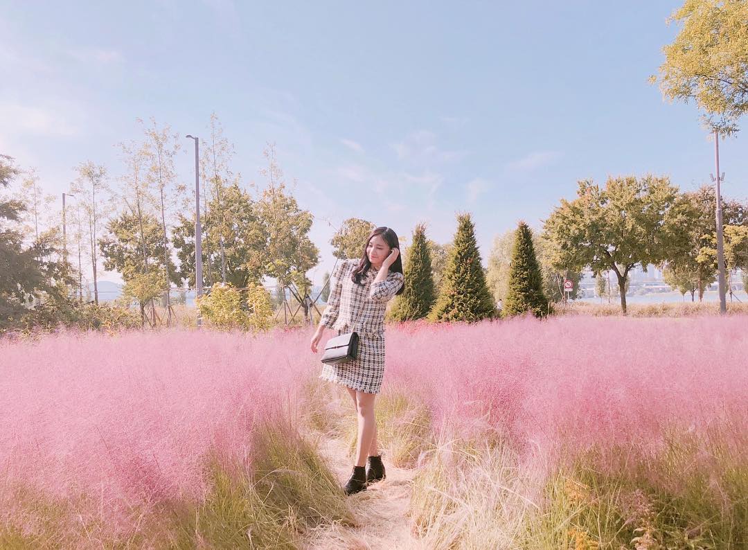 잠원한강공원 蠶院漢江公園 青草庭園 粉紅芒草 蠶院漢江公園青草庭園粉紅芒草 蠶院漢江公園青草庭園粉紅亂子草 蠶院漢江公園 青草庭園 粉紅亂子草 蠶院漢江公園青草庭園粉黛亂子草 蠶院漢江公園 青草庭園 粉黛亂子草 濟州島 粉黛亂子草 景點 濟州島 粉紅亂子草 景點 濟州島 粉紅芒草 景點 濟州粉黛亂子草 濟州 粉黛亂子草 景點 濟州 粉紅亂子草 景點 濟州 粉紅芒草 景點 濟州 秋天 賞花 景點 濟州島 秋天 賞花 景點 濟州秋天賞花 濟州島秋天賞花 濟州賞花 濟州島賞花 濟州 濟州島 Jeju 濟州島好去處2019 濟州島景點2019 濟州島必到景點2019 濟州島必去景點2019 濟州島必到2019 濟州島必去2019 濟州島必到 濟州島必去 濟州島好去處 濟州島景點 濟州島必到景點 濟州島必去景點 濟州好去處2019 濟州景點2019 濟州必到景點2019 濟州必去景點2019 濟州必到 濟州必去 濟州必到2019 濟州必去2019 濟州好去處 濟州景點 濟州必到景點 濟州必去景點 釜山好去處2019 釜山景點2019 釜山必到景點2019 釜山必去景點2019 釜山景點 釜山必到景點 釜山必去景點 釜山 粉紅亂子草 景點 釜山 粉紅芒草 景點 釜山 粉黛亂子草 景點 釜山 Busan 釜山打卡 釜山打卡必去 釜山賞花 釜山秋天 釜山 秋天 賞花 釜山粉黛亂子草 韓國打卡 韓國打卡必去 首爾打卡 首爾打卡必去 粉黛亂子草景點 韓國 粉黛亂子草 景點 韓國 粉紅芒草 景點 韓國 粉紅亂子草 景點 首爾 粉紅亂子草 首爾 粉紅芒草 景點 首爾粉紅芒草 首爾粉黛亂子草 首爾 粉黛亂子草 景點 首爾 首爾賞花 首爾 秋天 賞花 首爾秋天 首爾 Seoul 首爾必到 首爾好去處2019 首爾景點2019 首爾必到景點2019 首爾必去景點2019 首爾必到2019 首爾必去2019 首爾必去 首爾好去處 首爾景點 首爾必到景點 首爾必去景點 韓國 Korea 韓國必到 韓國必去 韓國自由行 韓國好去處 韓國景點 韓國必到景點 韓國必去景點 韓國必到2019 韓國必去2019 韓國好去處2019 韓國景點2019 韓國必到景點2019 韓國必去景點2019 韓國賞花 韓國 秋天 賞花 韓國秋天