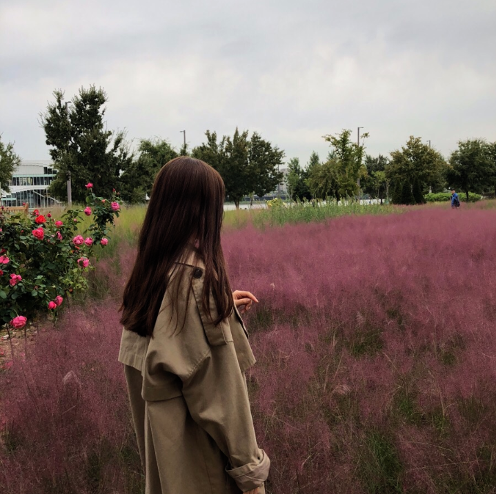 잠원한강공원 蠶院漢江公園 青草庭園 粉紅芒草 蠶院漢江公園青草庭園粉紅芒草 蠶院漢江公園青草庭園粉紅亂子草 蠶院漢江公園 青草庭園 粉紅亂子草 蠶院漢江公園青草庭園粉黛亂子草 蠶院漢江公園 青草庭園 粉黛亂子草 濟州島 粉黛亂子草 景點 濟州島 粉紅亂子草 景點 濟州島 粉紅芒草 景點 濟州粉黛亂子草 濟州 粉黛亂子草 景點 濟州 粉紅亂子草 景點 濟州 粉紅芒草 景點 濟州 秋天 賞花 景點 濟州島 秋天 賞花 景點 濟州秋天賞花 濟州島秋天賞花 濟州賞花 濟州島賞花 濟州 濟州島 Jeju 濟州島好去處2019 濟州島景點2019 濟州島必到景點2019 濟州島必去景點2019 濟州島必到2019 濟州島必去2019 濟州島必到 濟州島必去 濟州島好去處 濟州島景點 濟州島必到景點 濟州島必去景點 濟州好去處2019 濟州景點2019 濟州必到景點2019 濟州必去景點2019 濟州必到 濟州必去 濟州必到2019 濟州必去2019 濟州好去處 濟州景點 濟州必到景點 濟州必去景點 釜山好去處2019 釜山景點2019 釜山必到景點2019 釜山必去景點2019 釜山景點 釜山必到景點 釜山必去景點 釜山 粉紅亂子草 景點 釜山 粉紅芒草 景點 釜山 粉黛亂子草 景點 釜山 Busan 釜山打卡 釜山打卡必去 釜山賞花 釜山秋天 釜山 秋天 賞花 釜山粉黛亂子草 韓國打卡 韓國打卡必去 首爾打卡 首爾打卡必去 粉黛亂子草景點 韓國 粉黛亂子草 景點 韓國 粉紅芒草 景點 韓國 粉紅亂子草 景點 首爾 粉紅亂子草 首爾 粉紅芒草 景點 首爾粉紅芒草 首爾粉黛亂子草 首爾 粉黛亂子草 景點 首爾 首爾賞花 首爾 秋天 賞花 首爾秋天 首爾 Seoul 首爾必到 首爾好去處2019 首爾景點2019 首爾必到景點2019 首爾必去景點2019 首爾必到2019 首爾必去2019 首爾必去 首爾好去處 首爾景點 首爾必到景點 首爾必去景點 韓國 Korea 韓國必到 韓國必去 韓國自由行 韓國好去處 韓國景點 韓國必到景點 韓國必去景點 韓國必到2019 韓國必去2019 韓國好去處2019 韓國景點2019 韓國必到景點2019 韓國必去景點2019 韓國賞花 韓國 秋天 賞花 韓國秋天