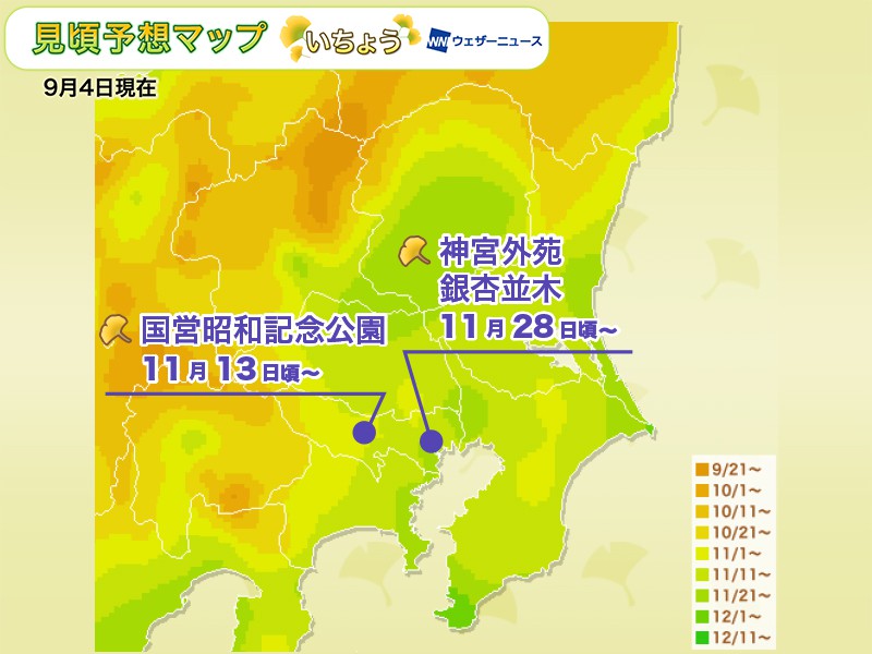 關東銀杏預測 東京銀杏2019 東京銀杏預測 東京銀杏予想