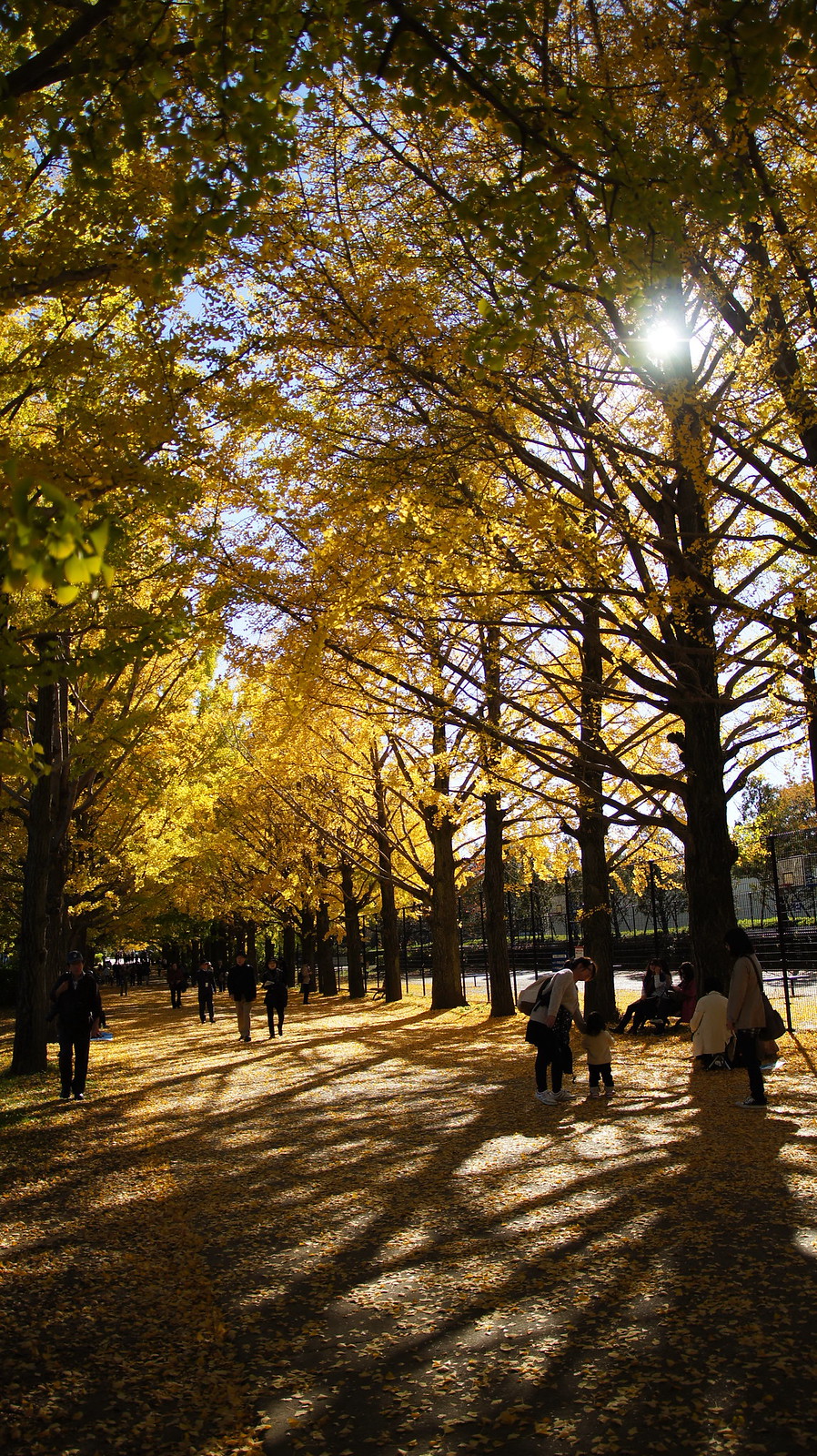國營昭和紀念公園｜日本 Japan 日本必食 日本必吃 日本必到 日本必去 日本必買 日本必掃 日本自由行 日本行程 日本行程包 日本懶人包 日本好去處 日本景點 日本必到景點 日本必去景點 日本美食 日本交通 日本攻略 日本自由行行程 日本自由行行程推薦 日本酒店 日本飯店 日本酒店推薦 日本飯店推薦 日本必住酒店 日本必住飯店 日本必食2019 日本必吃2019 日本必到2019 日本必去2019 日本必買2019 日本必掃2019 日本自由行2019 日本行程2019 日本行程包2019 日本懶人包2019 日本好去處2019 日本景點2019 日本必到景點2019 日本必去景點2019 日本美食2019 日本交通2019 日本攻略2019 日本自由行行程2019 日本自由行行程推薦2019 日本酒店2019 日本飯店2019 日本酒店推薦2019 日本飯店推薦2019 日本必住酒店2019 日本必住飯店2019 東京 Tokyo 東京必食 東京必吃 東京必到 東京必去 東京必買 東京必掃 東京自由行 東京行程 東京行程包 東京懶人包 東京好去處 東京景點 東京必到景點 東京必去景點 東京美食 東京交通 東京攻略 東京自由行行程 東京自由行行程推薦 東京酒店 東京飯店 東京酒店推薦 東京飯店推薦 東京必住酒店 東京必住飯店 東京必食2019 東京必吃2019 東京必到2019 東京必去2019 東京必買2019 東京必掃2019 東京自由行2019 東京行程2019 東京行程包2019 東京懶人包2019 東京好去處2019 東京景點2019 東京必到景點2019 東京必去景點2019 東京美食2019 東京交通2019 東京攻略2019 東京自由行行程2019 東京自由行行程推薦2019 東京酒店2019 東京飯店2019 東京酒店推薦2019 東京飯店推薦2019 東京必住酒店2019 東京必住飯店2019 明治神宮外苑 國營昭和紀念公園 光が丘公園 銀杏2019 日本銀杏 日本銀杏2019 東京銀杏 東京銀杏2019 明治神宮外苑銀杏 國營昭和紀念公園銀杏 光が丘公園銀杏 明治神宮外苑銀杏2019 國營昭和紀念公園銀杏2019 光が丘公園銀杏2019 國營昭和紀念公園2019 國營昭和紀念公園銀杏2018 國營昭和紀念公園3月 國營昭和紀念公園10月 國營昭和紀念公園粉蝶花 昭和紀念公園櫻花2019 國營昭和紀念公園12月 昭和紀念公園櫻花2018 國營昭和紀念公園點燈 昭和紀念公園近期活動