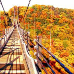 大阪賞楓景點 大阪賞楓 景點 大阪紅葉景點 大阪紅葉 景點 大阪紅葉 大阪賞楓 大阪楓葉 大阪紅葉預測 大阪夜楓 大阪夜楓2019 大阪紅葉2019 大阪賞楓2019 大阪楓葉2019 大阪紅葉預測2019 星田園地 ほしだ園地 私市站 大阪府民の森 日本最大吊橋