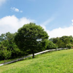 城陽站 城陽站住宿 京都親子住宿 ロゴスランド LOGOS LAND Plum Inn 城陽 京都 城陽 住宿 推薦 京都 天橋立 住宿 推薦 京都 伊根 住宿 推薦 京都自由行 京都 城陽 住宿 推介 京都 天橋立 住宿 推介 京都 伊根 住宿 推介 京都 舟屋 京都住宿推薦 2019 京都酒店推薦 2019 京都飯店推薦 2019 京都旅館推薦 2019 京都特色住宿推薦 2019 京都住宿推介 2019 京都酒店推介 2019 京都飯店推介 2019 京都旅館推介 2019 京都特色住宿推介 2019 京都住宿 2019 京都酒店 2019 京都飯店 2019 京都旅館 2019 京都特色住宿 2019 京都 室內露營 京都 glamping 海之京都 茶之京都