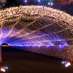 東京光之大祭典｜日本 Japan 日本必食 日本必吃 日本必到 日本必去 日本必買 日本必掃 日本自由行 日本行程 日本行程包 日本懶人包 日本好去處 日本景點 日本必到景點 日本必去景點 日本美食 日本交通 日本攻略 日本自由行行程 日本自由行行程推薦 日本酒店 日本飯店 日本酒店推薦 日本飯店推薦 日本必住酒店 日本必住飯店 日本必食2019 日本必吃2019 日本必到2019 日本必去2019 日本必買2019 日本必掃2019 日本自由行2019 日本行程2019 日本行程包2019 日本懶人包2019 日本好去處2019 日本景點2019 日本必到景點2019 日本必去景點2019 日本美食2019 日本交通2019 日本攻略2019 日本自由行行程2019 日本自由行行程推薦2019 日本酒店2019 日本飯店2019 日本酒店推薦2019 日本飯店推薦2019 日本必住酒店2019 日本必住飯店2019 東京 Tokyo 東京必食 東京必吃 東京必到 東京必去 東京必買 東京必掃 東京自由行 東京行程 東京行程包 東京懶人包 東京好去處 東京景點 東京必到景點 東京必去景點 東京美食 東京交通 東京攻略 東京自由行行程 東京自由行行程推薦 東京酒店 東京飯店 東京酒店推薦 東京飯店推薦 東京必住酒店 東京必住飯店 東京必食2019 東京必吃2019 東京必到2019 東京必去2019 東京必買2019 東京必掃2019 東京自由行2019 東京行程2019 東京行程包2019 東京懶人包2019 東京好去處2019 東京景點2019 東京必到景點2019 東京必去景點2019 東京美食2019 東京交通2019 東京攻略2019 東京自由行行程2019 東京自由行行程推薦2019 東京酒店2019 東京飯店2019 東京酒店推薦2019 東京飯店推薦2019 東京必住酒店2019 東京必住飯店2019 東京聖誕 東京聖誕2019 東京聖誕燈飾 東京聖誕燈飾2019 東京聖誕2020 東京聖誕燈飾2020 日本聖誕 日本聖誕2019 日本聖誕燈飾 日本聖誕燈飾2019 日本聖誕2020 日本聖誕燈飾2020 關東聖誕 關東聖誕2019 關東聖誕燈飾 關東聖誕燈飾2019 關東聖誕2020 關東聖誕燈飾2020 讀賣樂園 讀賣樂園聖誕 讀賣樂園聖誕2019 讀賣樂園聖誕燈飾 讀賣樂園聖誕燈飾2019 讀賣樂園聖誕2020 讀賣樂園聖誕燈飾2020 讀賣寶石點燈祭(R)~珠寶奧林匹克~ 丸之內仲通 丸之內仲通聖誕 丸之內仲通聖誕2019 丸之內仲通聖誕燈飾 丸之內仲通聖誕燈飾2019 丸之內仲通聖誕2020 丸之內仲通聖誕燈飾2020 丸之內 Illumination 2019 新宿南口 新宿南口聖誕 新宿南口聖誕2019 新宿南口聖誕燈飾 新宿南口聖誕燈飾2019 新宿南口聖誕2020 新宿南口聖誕燈飾2020 新宿南口地區光之祭典 惠比壽花園廣場 惠比壽花園廣場聖誕 惠比壽花園廣場聖誕2019 惠比壽花園廣場聖誕燈飾 惠比壽花園廣場聖誕燈飾2019 惠比壽花園廣場聖誕2020 惠比壽花園廣場聖誕燈飾2020 惠比壽花園廣場聖誕燈飾 MIDTOWN MIDTOWN聖誕 MIDTOWN聖誕2019 MIDTOWN聖誕燈飾 MIDTOWN聖誕燈飾2019 MIDTOWN聖誕2020 MIDTOWN聖誕燈飾2020 MIDTOWN CHRISTMAS 2019 Caretta聖誕 Caretta聖誕2019 Caretta聖誕燈飾 Caretta聖誕燈飾2019 Caretta聖誕2020 Caretta聖誕燈飾2020 Caretta Illumination~阿拉伯之夜 橫濱紅磚倉庫 橫濱紅磚倉庫聖誕 橫濱紅磚倉庫聖誕2019 橫濱紅磚倉庫聖誕燈飾 橫濱紅磚倉庫聖誕燈飾2019 橫濱紅磚倉庫聖誕2020 橫濱紅磚倉庫聖誕燈飾2020 聖誕市集 in 橫濱紅磚倉庫 相模湖 相模湖聖誕 相模湖聖誕2019 相模湖聖誕燈飾 相模湖聖誕燈飾2019 相模湖聖誕2020 相模湖聖誕燈飾2020 相模湖燈祭 東京巨蛋 東京巨蛋聖誕 東京巨蛋聖誕2019 東京巨蛋聖誕燈飾 東京巨蛋聖誕燈飾2019 東京巨蛋聖誕2020 東京巨蛋聖誕燈飾2020 TOKYO Dome City Winter Illumination 大井競馬場聖誕 大井競馬場聖誕2019 大井競馬場聖誕燈飾 大井競馬場聖誕燈飾2019 大井競馬場聖誕2020 大井競馬場聖誕燈飾2020 東京光之大祭典 TOKYO MEGA ILLUMINATION 東京祭典2019 東京6月祭典2019 東京夏日祭典2019 東京2019活動 東京10月活動2019 東京11月活動2019 2019東京9月活動 東京祭典2020 日本祭典2019東京 東京7月祭典2019