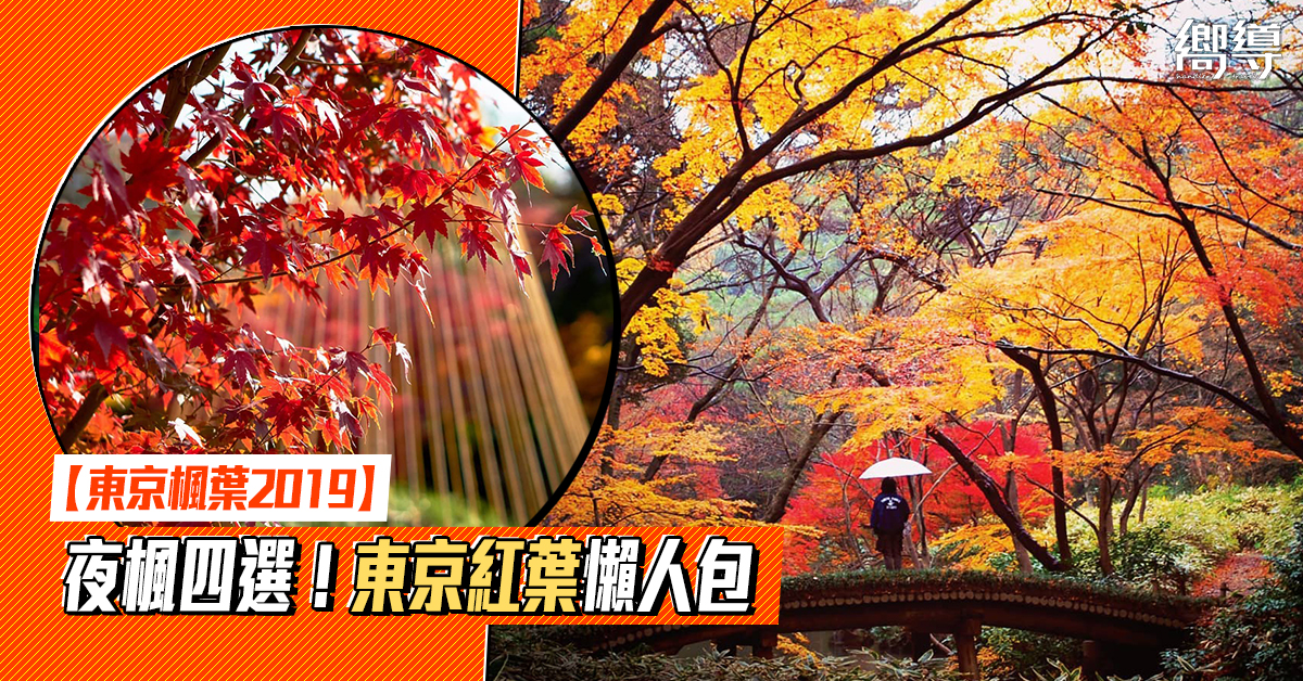 日本 Japan 日本必食 日本必吃 日本必到 日本必去 日本必買 日本必掃 日本自由行 日本行程 日本行程包 日本懶人包 日本好去處 日本景點 日本必到景點 日本必去景點 日本美食 日本交通 日本攻略 日本自由行行程 日本自由行行程推薦 日本酒店 日本飯店 日本酒店推薦 日本飯店推薦 日本必住酒店 日本必住飯店 日本必食2019 日本必吃2019 日本必到2019 日本必去2019 日本必買2019 日本必掃2019 日本自由行2019 日本行程2019 日本行程包2019 日本懶人包2019 日本好去處2019 日本景點2019 日本必到景點2019 日本必去景點2019 日本美食2019 日本交通2019 日本攻略2019 日本自由行行程2019 日本自由行行程推薦2019 日本酒店2019 日本飯店2019 日本酒店推薦2019 日本飯店推薦2019 日本必住酒店2019 日本必住飯店2019 東京 Tokyo 東京必食 東京必吃 東京必到 東京必去 東京必買 東京必掃 東京自由行 東京行程 東京行程包 東京懶人包 東京好去處 東京景點 東京必到景點 東京必去景點 東京美食 東京交通 東京攻略 東京自由行行程 東京自由行行程推薦 東京酒店 東京飯店 東京酒店推薦 東京飯店推薦 東京必住酒店 東京必住飯店 東京必食2019 東京必吃2019 東京必到2019 東京必去2019 東京必買2019 東京必掃2019 東京自由行2019 東京行程2019 東京行程包2019 東京懶人包2019 東京好去處2019 東京景點2019 東京必到景點2019 東京必去景點2019 東京美食2019 東京交通2019 東京攻略2019 東京自由行行程2019 東京自由行行程推薦2019 東京酒店2019 東京飯店2019 東京酒店推薦2019 東京飯店推薦2019 東京必住酒店2019 東京必住飯店2019 紅葉2019 楓葉2019 日本紅葉 日本楓葉 日本紅葉2019 日本楓葉2019 日本賞楓 日本賞楓2019 東京紅葉 東京楓葉 東京紅葉2019 東京楓葉2019 東京賞楓 東京賞楓2019 六義園紅葉 六義園楓葉 六義園紅葉2019 六義園楓葉2019 六義園點燈 六義園點燈2019 大田黑公園紅葉 大田黑公園楓葉 大田黑公園紅葉2019 大田黑公園楓葉2019 大田黑公園點燈 大田黑公園點燈2019 目白庭園紅葉 目白庭園楓葉 目白庭園紅葉2019 目白庭園楓葉2019 目白庭園點燈 目白庭園點燈2019 江戶東京建築園紅葉 江戶東京建築園楓葉 江戶東京建築園紅葉2019 江戶東京建築園楓葉2019 江戶東京建築園點燈 江戶東京建築園點燈2019 六義園 大田黑公園 江戶東京建築園 目白庭園
