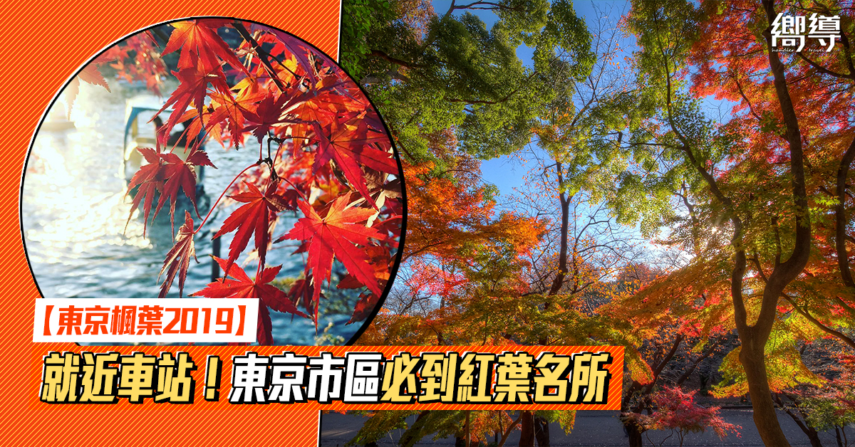 日本 Japan 日本必食 日本必吃 日本必到 日本必去 日本必買 日本必掃 日本自由行 日本行程 日本行程包 日本懶人包 日本好去處 日本景點 日本必到景點 日本必去景點 日本美食 日本交通 日本攻略 日本自由行行程 日本自由行行程推薦 日本酒店 日本飯店 日本酒店推薦 日本飯店推薦 日本必住酒店 日本必住飯店 日本必食2019 日本必吃2019 日本必到2019 日本必去2019 日本必買2019 日本必掃2019 日本自由行2019 日本行程2019 日本行程包2019 日本懶人包2019 日本好去處2019 日本景點2019 日本必到景點2019 日本必去景點2019 日本美食2019 日本交通2019 日本攻略2019 日本自由行行程2019 日本自由行行程推薦2019 日本酒店2019 日本飯店2019 日本酒店推薦2019 日本飯店推薦2019 日本必住酒店2019 日本必住飯店2019 東京 Tokyo 東京必食 東京必吃 東京必到 東京必去 東京必買 東京必掃 東京自由行 東京行程 東京行程包 東京懶人包 東京好去處 東京景點 東京必到景點 東京必去景點 東京美食 東京交通 東京攻略 東京自由行行程 東京自由行行程推薦 東京酒店 東京飯店 東京酒店推薦 東京飯店推薦 東京必住酒店 東京必住飯店 東京必食2019 東京必吃2019 東京必到2019 東京必去2019 東京必買2019 東京必掃2019 東京自由行2019 東京行程2019 東京行程包2019 東京懶人包2019 東京好去處2019 東京景點2019 東京必到景點2019 東京必去景點2019 東京美食2019 東京交通2019 東京攻略2019 東京自由行行程2019 東京自由行行程推薦2019 東京酒店2019 東京飯店2019 東京酒店推薦2019 東京飯店推薦2019 東京必住酒店2019 東京必住飯店2019 銀杏2019 日本銀杏 日本銀杏2019 東京銀杏 東京銀杏2019 楓葉2019 紅葉2019 日本楓葉2019 日本楓葉 日本紅葉 日本紅葉2019 東京楓葉2019 東京楓葉 東京紅葉 東京紅葉2019 國營昭和紀念公園 國營昭和紀念公園紅葉 國營昭和紀念公園楓葉 國營昭和紀念公園2019 國營昭和紀念公園紅葉2019 國營昭和紀念公園楓葉2019六義園 六義園紅葉 六義園楓葉 六義園2019 六義園紅葉2019 六義園楓葉2019 新宿御苑 新宿御苑紅葉 新宿御苑楓葉 新宿御苑2019 新宿御苑紅葉2019 新宿御苑楓葉2019 小石川後樂園 小石川後樂園紅葉 小石川後樂園楓葉 小石川後樂園2019 小石川後樂園紅葉2019 小石川後樂園楓葉2019 井之頭恩賜公園 井之頭恩賜公園紅葉 井之頭恩賜公園楓葉 井之頭恩賜公園2019 井之頭恩賜公園紅葉2019 井之頭恩賜公園楓葉2019 飛鳥山公園 飛鳥山公園紅葉 飛鳥山公園楓葉 飛鳥山公園2019 飛鳥山公園紅葉2019 飛鳥山公園楓葉2019 代代木公園 代代木公園紅葉 代代木公園楓葉 代代木公園2019 代代木公園紅葉2019 代代木公園楓葉2019 上野恩賜公園 上野恩賜公園紅葉 上野恩賜公園楓葉 上野恩賜公園2019 上野恩賜公園紅葉2019 上野恩賜公園楓葉2019