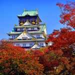 銀杏葉 天守閣 森之宮站 大阪城公園 紅葉 夜間紅葉 大阪賞楓景點 大阪賞楓 景點 大阪紅葉景點 大阪紅葉 景點 大阪賞楓 大阪楓葉 大阪紅葉預測 大阪夜楓 大阪夜楓2019 大阪紅葉2019 大阪賞楓2019 大阪楓葉2019 大阪紅葉預測2019