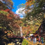 西江寺 一の橋 昆蟲館 瀧安寺 野口英世像 唐人戾橋 箕面站 箕面瀑布 箕面瀑布 大阪賞楓景點 大阪賞楓 景點 大阪紅葉景點 大阪紅葉 景點 大阪賞楓 大阪楓葉 大阪紅葉預測 大阪夜楓 大阪夜楓2019 大阪紅葉2019 大阪賞楓2019 大阪楓葉2019 大阪紅葉預測2019