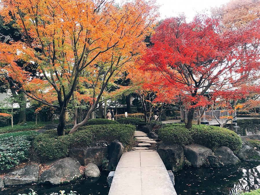 大田黑公園｜日本 Japan 日本必食 日本必吃 日本必到 日本必去 日本必買 日本必掃 日本自由行 日本行程 日本行程包 日本懶人包 日本好去處 日本景點 日本必到景點 日本必去景點 日本美食 日本交通 日本攻略 日本自由行行程 日本自由行行程推薦 日本酒店 日本飯店 日本酒店推薦 日本飯店推薦 日本必住酒店 日本必住飯店 日本必食2019 日本必吃2019 日本必到2019 日本必去2019 日本必買2019 日本必掃2019 日本自由行2019 日本行程2019 日本行程包2019 日本懶人包2019 日本好去處2019 日本景點2019 日本必到景點2019 日本必去景點2019 日本美食2019 日本交通2019 日本攻略2019 日本自由行行程2019 日本自由行行程推薦2019 日本酒店2019 日本飯店2019 日本酒店推薦2019 日本飯店推薦2019 日本必住酒店2019 日本必住飯店2019 東京 Tokyo 東京必食 東京必吃 東京必到 東京必去 東京必買 東京必掃 東京自由行 東京行程 東京行程包 東京懶人包 東京好去處 東京景點 東京必到景點 東京必去景點 東京美食 東京交通 東京攻略 東京自由行行程 東京自由行行程推薦 東京酒店 東京飯店 東京酒店推薦 東京飯店推薦 東京必住酒店 東京必住飯店 東京必食2019 東京必吃2019 東京必到2019 東京必去2019 東京必買2019 東京必掃2019 東京自由行2019 東京行程2019 東京行程包2019 東京懶人包2019 東京好去處2019 東京景點2019 東京必到景點2019 東京必去景點2019 東京美食2019 東京交通2019 東京攻略2019 東京自由行行程2019 東京自由行行程推薦2019 東京酒店2019 東京飯店2019 東京酒店推薦2019 東京飯店推薦2019 東京必住酒店2019 東京必住飯店2019 紅葉2019 楓葉2019 日本紅葉 日本楓葉 日本紅葉2019 日本楓葉2019 日本賞楓 日本賞楓2019 東京紅葉 東京楓葉 東京紅葉2019 東京楓葉2019 東京賞楓 東京賞楓2019 六義園紅葉 六義園楓葉 六義園紅葉2019 六義園楓葉2019 六義園點燈 六義園點燈2019 大田黑公園紅葉 大田黑公園楓葉 大田黑公園紅葉2019 大田黑公園楓葉2019 大田黑公園點燈 大田黑公園點燈2019 目白庭園紅葉 目白庭園楓葉 目白庭園紅葉2019 目白庭園楓葉2019 目白庭園點燈 目白庭園點燈2019 江戶東京建築園紅葉 江戶東京建築園楓葉 江戶東京建築園紅葉2019 江戶東京建築園楓葉2019 江戶東京建築園點燈 江戶東京建築園點燈2019 六義園 大田黑公園 江戶東京建築園 目白庭園