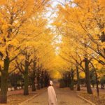 光が丘公園｜日本 Japan 日本必食 日本必吃 日本必到 日本必去 日本必買 日本必掃 日本自由行 日本行程 日本行程包 日本懶人包 日本好去處 日本景點 日本必到景點 日本必去景點 日本美食 日本交通 日本攻略 日本自由行行程 日本自由行行程推薦 日本酒店 日本飯店 日本酒店推薦 日本飯店推薦 日本必住酒店 日本必住飯店 日本必食2019 日本必吃2019 日本必到2019 日本必去2019 日本必買2019 日本必掃2019 日本自由行2019 日本行程2019 日本行程包2019 日本懶人包2019 日本好去處2019 日本景點2019 日本必到景點2019 日本必去景點2019 日本美食2019 日本交通2019 日本攻略2019 日本自由行行程2019 日本自由行行程推薦2019 日本酒店2019 日本飯店2019 日本酒店推薦2019 日本飯店推薦2019 日本必住酒店2019 日本必住飯店2019 東京 Tokyo 東京必食 東京必吃 東京必到 東京必去 東京必買 東京必掃 東京自由行 東京行程 東京行程包 東京懶人包 東京好去處 東京景點 東京必到景點 東京必去景點 東京美食 東京交通 東京攻略 東京自由行行程 東京自由行行程推薦 東京酒店 東京飯店 東京酒店推薦 東京飯店推薦 東京必住酒店 東京必住飯店 東京必食2019 東京必吃2019 東京必到2019 東京必去2019 東京必買2019 東京必掃2019 東京自由行2019 東京行程2019 東京行程包2019 東京懶人包2019 東京好去處2019 東京景點2019 東京必到景點2019 東京必去景點2019 東京美食2019 東京交通2019 東京攻略2019 東京自由行行程2019 東京自由行行程推薦2019 東京酒店2019 東京飯店2019 東京酒店推薦2019 東京飯店推薦2019 東京必住酒店2019 東京必住飯店2019 明治神宮外苑 國營昭和紀念公園 光が丘公園 銀杏2019 日本銀杏 日本銀杏2019 東京銀杏 東京銀杏2019 明治神宮外苑銀杏 國營昭和紀念公園銀杏 光が丘公園銀杏 明治神宮外苑銀杏2019 國營昭和紀念公園銀杏2019 光が丘公園銀杏2019 光之丘公園銀杏時間 光丘景點 東京光之丘銀杏 自由之丘銀杏 光丘事件