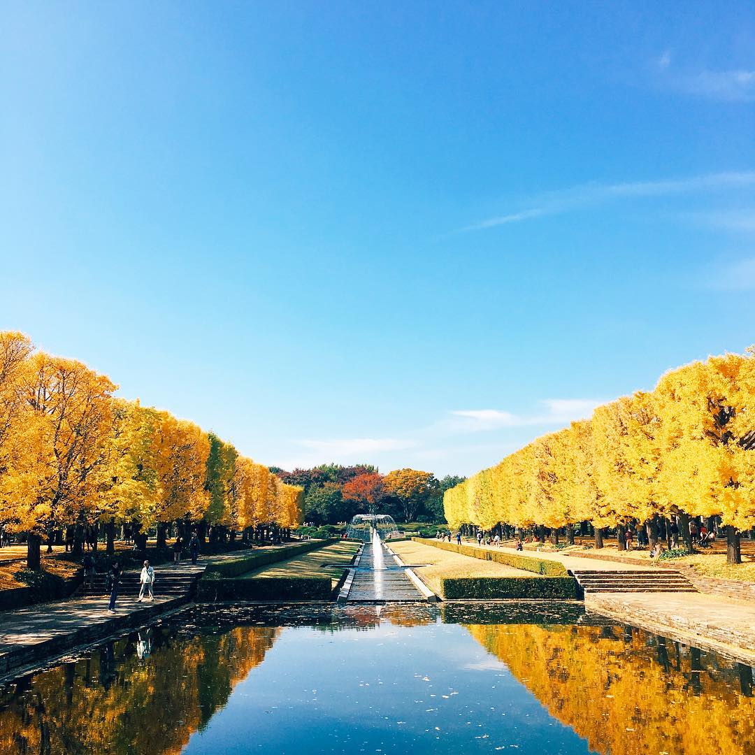 國營昭和紀念公園｜日本 Japan 日本必食 日本必吃 日本必到 日本必去 日本必買 日本必掃 日本自由行 日本行程 日本行程包 日本懶人包 日本好去處 日本景點 日本必到景點 日本必去景點 日本美食 日本交通 日本攻略 日本自由行行程 日本自由行行程推薦 日本酒店 日本飯店 日本酒店推薦 日本飯店推薦 日本必住酒店 日本必住飯店 日本必食2019 日本必吃2019 日本必到2019 日本必去2019 日本必買2019 日本必掃2019 日本自由行2019 日本行程2019 日本行程包2019 日本懶人包2019 日本好去處2019 日本景點2019 日本必到景點2019 日本必去景點2019 日本美食2019 日本交通2019 日本攻略2019 日本自由行行程2019 日本自由行行程推薦2019 日本酒店2019 日本飯店2019 日本酒店推薦2019 日本飯店推薦2019 日本必住酒店2019 日本必住飯店2019 東京 Tokyo 東京必食 東京必吃 東京必到 東京必去 東京必買 東京必掃 東京自由行 東京行程 東京行程包 東京懶人包 東京好去處 東京景點 東京必到景點 東京必去景點 東京美食 東京交通 東京攻略 東京自由行行程 東京自由行行程推薦 東京酒店 東京飯店 東京酒店推薦 東京飯店推薦 東京必住酒店 東京必住飯店 東京必食2019 東京必吃2019 東京必到2019 東京必去2019 東京必買2019 東京必掃2019 東京自由行2019 東京行程2019 東京行程包2019 東京懶人包2019 東京好去處2019 東京景點2019 東京必到景點2019 東京必去景點2019 東京美食2019 東京交通2019 東京攻略2019 東京自由行行程2019 東京自由行行程推薦2019 東京酒店2019 東京飯店2019 東京酒店推薦2019 東京飯店推薦2019 東京必住酒店2019 東京必住飯店2019 明治神宮外苑 國營昭和紀念公園 光が丘公園 銀杏2019 日本銀杏 日本銀杏2019 東京銀杏 東京銀杏2019 明治神宮外苑銀杏 國營昭和紀念公園銀杏 光が丘公園銀杏 明治神宮外苑銀杏2019 國營昭和紀念公園銀杏2019 光が丘公園銀杏2019 國營昭和紀念公園2019 國營昭和紀念公園銀杏2018 國營昭和紀念公園3月 國營昭和紀念公園10月 國營昭和紀念公園粉蝶花 昭和紀念公園櫻花2019 國營昭和紀念公園12月 昭和紀念公園櫻花2018 國營昭和紀念公園點燈 昭和紀念公園近期活動