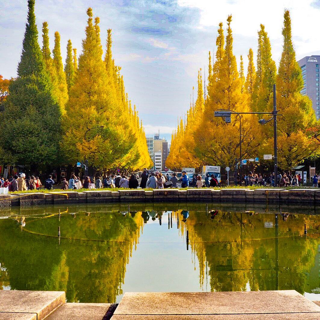 明治神宮外苑｜日本 Japan 日本必食 日本必吃 日本必到 日本必去 日本必買 日本必掃 日本自由行 日本行程 日本行程包 日本懶人包 日本好去處 日本景點 日本必到景點 日本必去景點 日本美食 日本交通 日本攻略 日本自由行行程 日本自由行行程推薦 日本酒店 日本飯店 日本酒店推薦 日本飯店推薦 日本必住酒店 日本必住飯店 日本必食2019 日本必吃2019 日本必到2019 日本必去2019 日本必買2019 日本必掃2019 日本自由行2019 日本行程2019 日本行程包2019 日本懶人包2019 日本好去處2019 日本景點2019 日本必到景點2019 日本必去景點2019 日本美食2019 日本交通2019 日本攻略2019 日本自由行行程2019 日本自由行行程推薦2019 日本酒店2019 日本飯店2019 日本酒店推薦2019 日本飯店推薦2019 日本必住酒店2019 日本必住飯店2019 東京 Tokyo 東京必食 東京必吃 東京必到 東京必去 東京必買 東京必掃 東京自由行 東京行程 東京行程包 東京懶人包 東京好去處 東京景點 東京必到景點 東京必去景點 東京美食 東京交通 東京攻略 東京自由行行程 東京自由行行程推薦 東京酒店 東京飯店 東京酒店推薦 東京飯店推薦 東京必住酒店 東京必住飯店 東京必食2019 東京必吃2019 東京必到2019 東京必去2019 東京必買2019 東京必掃2019 東京自由行2019 東京行程2019 東京行程包2019 東京懶人包2019 東京好去處2019 東京景點2019 東京必到景點2019 東京必去景點2019 東京美食2019 東京交通2019 東京攻略2019 東京自由行行程2019 東京自由行行程推薦2019 東京酒店2019 東京飯店2019 東京酒店推薦2019 東京飯店推薦2019 東京必住酒店2019 東京必住飯店2019 明治神宮外苑 國營昭和紀念公園 光が丘公園 銀杏2019 日本銀杏 日本銀杏2019 東京銀杏 東京銀杏2019 明治神宮外苑銀杏 國營昭和紀念公園銀杏 光が丘公園銀杏 明治神宮外苑銀杏2019 國營昭和紀念公園銀杏2019 光が丘公園銀杏2019 明治神宮外苑銀杏祭2019 明治神宮外苑銀杏祭2018 明治神宮外苑銀杏祭2017 明治神宮外苑櫻花 明治神宮外苑6月 明治神宮外苑10月 明治神宮外苑夏天 信濃町明治神宮外苑 明治神宮外苑1月 明治神宮外苑營業時間