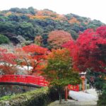 西江寺 一の橋 昆蟲館 瀧安寺 野口英世像 唐人戾橋 箕面站 箕面瀑布 箕面瀑布 大阪賞楓景點 大阪賞楓 景點 大阪紅葉景點 大阪紅葉 景點 大阪賞楓 大阪楓葉 大阪紅葉預測 大阪夜楓 大阪夜楓2019 大阪紅葉2019 大阪賞楓2019 大阪楓葉2019 大阪紅葉預測2019