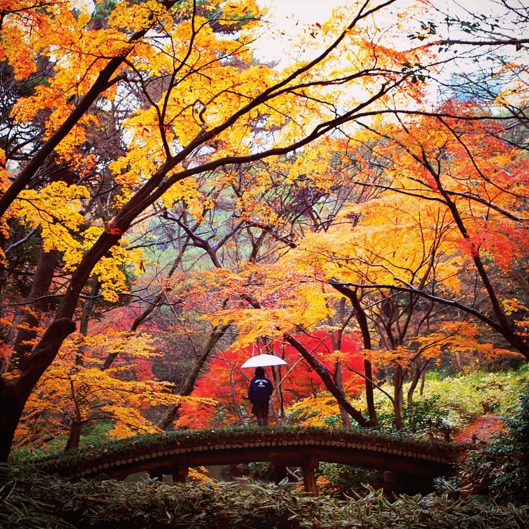 六義園｜日本 Japan 日本必食 日本必吃 日本必到 日本必去 日本必買 日本必掃 日本自由行 日本行程 日本行程包 日本懶人包 日本好去處 日本景點 日本必到景點 日本必去景點 日本美食 日本交通 日本攻略 日本自由行行程 日本自由行行程推薦 日本酒店 日本飯店 日本酒店推薦 日本飯店推薦 日本必住酒店 日本必住飯店 日本必食2019 日本必吃2019 日本必到2019 日本必去2019 日本必買2019 日本必掃2019 日本自由行2019 日本行程2019 日本行程包2019 日本懶人包2019 日本好去處2019 日本景點2019 日本必到景點2019 日本必去景點2019 日本美食2019 日本交通2019 日本攻略2019 日本自由行行程2019 日本自由行行程推薦2019 日本酒店2019 日本飯店2019 日本酒店推薦2019 日本飯店推薦2019 日本必住酒店2019 日本必住飯店2019 東京 Tokyo 東京必食 東京必吃 東京必到 東京必去 東京必買 東京必掃 東京自由行 東京行程 東京行程包 東京懶人包 東京好去處 東京景點 東京必到景點 東京必去景點 東京美食 東京交通 東京攻略 東京自由行行程 東京自由行行程推薦 東京酒店 東京飯店 東京酒店推薦 東京飯店推薦 東京必住酒店 東京必住飯店 東京必食2019 東京必吃2019 東京必到2019 東京必去2019 東京必買2019 東京必掃2019 東京自由行2019 東京行程2019 東京行程包2019 東京懶人包2019 東京好去處2019 東京景點2019 東京必到景點2019 東京必去景點2019 東京美食2019 東京交通2019 東京攻略2019 東京自由行行程2019 東京自由行行程推薦2019 東京酒店2019 東京飯店2019 東京酒店推薦2019 東京飯店推薦2019 東京必住酒店2019 東京必住飯店2019 紅葉2019 楓葉2019 日本紅葉 日本楓葉 日本紅葉2019 日本楓葉2019 日本賞楓 日本賞楓2019 東京紅葉 東京楓葉 東京紅葉2019 東京楓葉2019 東京賞楓 東京賞楓2019 六義園紅葉 六義園楓葉 六義園紅葉2019 六義園楓葉2019 六義園點燈 六義園點燈2019 大田黑公園紅葉 大田黑公園楓葉 大田黑公園紅葉2019 大田黑公園楓葉2019 大田黑公園點燈 大田黑公園點燈2019 目白庭園紅葉 目白庭園楓葉 目白庭園紅葉2019 目白庭園楓葉2019 目白庭園點燈 目白庭園點燈2019 江戶東京建築園紅葉 江戶東京建築園楓葉 江戶東京建築園紅葉2019 江戶東京建築園楓葉2019 江戶東京建築園點燈 江戶東京建築園點燈2019 六義園夏天 六義園官網 六義園櫻花 六義園楓葉 六義園紅葉 六義園冬天 六義園2019 六義園2018 六義園美食 六義園6月 六義園 大田黑公園 江戶東京建築園 目白庭園