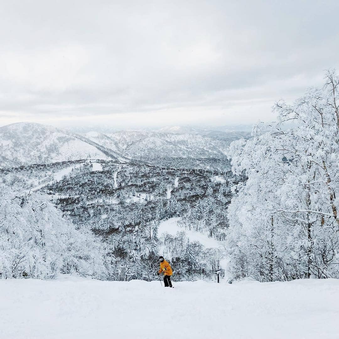 留壽都度假區 Rusutsu Resort 富良野滑雪場 富良野 滑雪 場 北海道 滑雪 北海道滑雪 推薦 北海道滑雪場 推薦 北海道滑雪場 推介 北海道攻略 日本滑雪 日本滑雪場 北海道親子遊 二世古滑雪場 北海道 滑雪 月份 北海道 11月 北海道 12月 北海道1月 北海道 2月 北海道 3月 北海道 4月 北海道 5月 北海道 落雪 北海道 滑雪 自由 行 北海道滑雪自由行 滑雪 度假村 札幌滑雪場 札幌 滑雪 北海道 大雪 北海道 滑雪 場 比較 北海道滑雪 月份 北海道滑雪住宿 北海道滑雪 比較 北海道滑雪 衣服 北海道滑雪 富良野 北海道滑雪2019 北海道滑雪 2019 北海道滑雪 親子 北海道滑雪 攻略 北海道滑雪 初學者 北海道滑雪 自肋 北海道滑雪 交通 北海道滑雪 住宿推薦 北海道滑雪 初學 北海道滑雪 新手 北海道滑雪 一日遊 北海道滑雪 度假村 北海道滑雪 季節 北海道滑雪 時間 北海道滑雪 幾月 北海道滑雪 機場 北海道滑雪 二世谷 北海道滑雪 小樽 北海道滑雪 留壽都 北海道滑雪 民宿