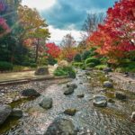 百舌鳥 大仙公園 百舌鳥站 紅葉の宴 大阪 夜間紅葉 大阪賞楓景點 大阪賞楓 景點 大阪紅葉景點 大阪紅葉 景點 大阪賞楓 大阪楓葉 大阪紅葉預測 大阪夜楓 大阪夜楓2019 大阪紅葉2019 大阪賞楓2019 大阪楓葉2019 大阪紅葉預測2019