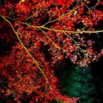 六義園｜日本 Japan 日本必食 日本必吃 日本必到 日本必去 日本必買 日本必掃 日本自由行 日本行程 日本行程包 日本懶人包 日本好去處 日本景點 日本必到景點 日本必去景點 日本美食 日本交通 日本攻略 日本自由行行程 日本自由行行程推薦 日本酒店 日本飯店 日本酒店推薦 日本飯店推薦 日本必住酒店 日本必住飯店 日本必食2019 日本必吃2019 日本必到2019 日本必去2019 日本必買2019 日本必掃2019 日本自由行2019 日本行程2019 日本行程包2019 日本懶人包2019 日本好去處2019 日本景點2019 日本必到景點2019 日本必去景點2019 日本美食2019 日本交通2019 日本攻略2019 日本自由行行程2019 日本自由行行程推薦2019 日本酒店2019 日本飯店2019 日本酒店推薦2019 日本飯店推薦2019 日本必住酒店2019 日本必住飯店2019 東京 Tokyo 東京必食 東京必吃 東京必到 東京必去 東京必買 東京必掃 東京自由行 東京行程 東京行程包 東京懶人包 東京好去處 東京景點 東京必到景點 東京必去景點 東京美食 東京交通 東京攻略 東京自由行行程 東京自由行行程推薦 東京酒店 東京飯店 東京酒店推薦 東京飯店推薦 東京必住酒店 東京必住飯店 東京必食2019 東京必吃2019 東京必到2019 東京必去2019 東京必買2019 東京必掃2019 東京自由行2019 東京行程2019 東京行程包2019 東京懶人包2019 東京好去處2019 東京景點2019 東京必到景點2019 東京必去景點2019 東京美食2019 東京交通2019 東京攻略2019 東京自由行行程2019 東京自由行行程推薦2019 東京酒店2019 東京飯店2019 東京酒店推薦2019 東京飯店推薦2019 東京必住酒店2019 東京必住飯店2019 紅葉2019 楓葉2019 日本紅葉 日本楓葉 日本紅葉2019 日本楓葉2019 日本賞楓 日本賞楓2019 東京紅葉 東京楓葉 東京紅葉2019 東京楓葉2019 東京賞楓 東京賞楓2019 六義園紅葉 六義園楓葉 六義園紅葉2019 六義園楓葉2019 六義園點燈 六義園點燈2019 大田黑公園紅葉 大田黑公園楓葉 大田黑公園紅葉2019 大田黑公園楓葉2019 大田黑公園點燈 大田黑公園點燈2019 目白庭園紅葉 目白庭園楓葉 目白庭園紅葉2019 目白庭園楓葉2019 目白庭園點燈 目白庭園點燈2019 江戶東京建築園紅葉 江戶東京建築園楓葉 江戶東京建築園紅葉2019 江戶東京建築園楓葉2019 江戶東京建築園點燈 江戶東京建築園點燈2019 六義園夏天 六義園官網 六義園櫻花 六義園楓葉 六義園紅葉 六義園冬天 六義園2019 六義園2018 六義園美食 六義園6月 六義園 大田黑公園 江戶東京建築園 目白庭園