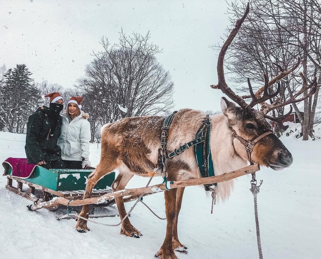 Niseko Village 滑雪場 富良野滑雪場 富良野 滑雪 場 北海道 滑雪 北海道滑雪 推薦 北海道滑雪場 推薦 北海道滑雪場 推介 北海道攻略 日本滑雪 日本滑雪場 北海道親子遊 二世古滑雪場 北海道 滑雪 月份 北海道 11月 北海道 12月 北海道1月 北海道 2月 北海道 3月 北海道 4月 北海道 5月 北海道 落雪 北海道 滑雪 自由 行 北海道滑雪自由行 滑雪 度假村 札幌滑雪場 札幌 滑雪 北海道 大雪 北海道 滑雪 場 比較 北海道滑雪 月份 北海道滑雪住宿 北海道滑雪 比較 北海道滑雪 衣服 北海道滑雪 富良野 北海道滑雪2019 北海道滑雪 2019 北海道滑雪 親子 北海道滑雪 攻略 北海道滑雪 初學者 北海道滑雪 自肋 北海道滑雪 交通 北海道滑雪 住宿推薦 北海道滑雪 初學 北海道滑雪 新手 北海道滑雪 一日遊 北海道滑雪 度假村 北海道滑雪 季節 北海道滑雪 時間 北海道滑雪 幾月 北海道滑雪 機場 北海道滑雪 二世谷 北海道滑雪 小樽 北海道滑雪 留壽都 北海道滑雪 民宿