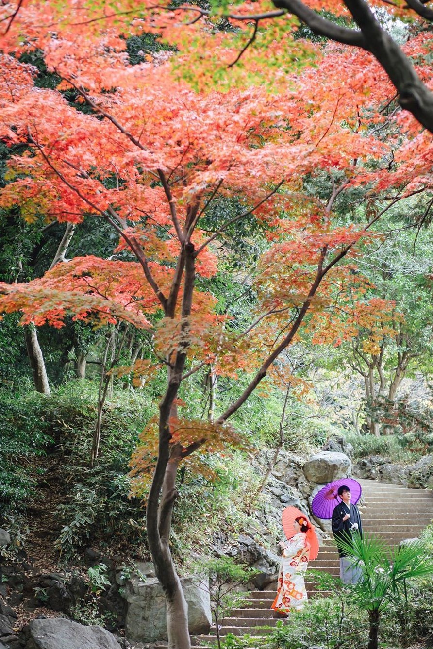 目白庭園｜日本 Japan 日本必食 日本必吃 日本必到 日本必去 日本必買 日本必掃 日本自由行 日本行程 日本行程包 日本懶人包 日本好去處 日本景點 日本必到景點 日本必去景點 日本美食 日本交通 日本攻略 日本自由行行程 日本自由行行程推薦 日本酒店 日本飯店 日本酒店推薦 日本飯店推薦 日本必住酒店 日本必住飯店 日本必食2019 日本必吃2019 日本必到2019 日本必去2019 日本必買2019 日本必掃2019 日本自由行2019 日本行程2019 日本行程包2019 日本懶人包2019 日本好去處2019 日本景點2019 日本必到景點2019 日本必去景點2019 日本美食2019 日本交通2019 日本攻略2019 日本自由行行程2019 日本自由行行程推薦2019 日本酒店2019 日本飯店2019 日本酒店推薦2019 日本飯店推薦2019 日本必住酒店2019 日本必住飯店2019 東京 Tokyo 東京必食 東京必吃 東京必到 東京必去 東京必買 東京必掃 東京自由行 東京行程 東京行程包 東京懶人包 東京好去處 東京景點 東京必到景點 東京必去景點 東京美食 東京交通 東京攻略 東京自由行行程 東京自由行行程推薦 東京酒店 東京飯店 東京酒店推薦 東京飯店推薦 東京必住酒店 東京必住飯店 東京必食2019 東京必吃2019 東京必到2019 東京必去2019 東京必買2019 東京必掃2019 東京自由行2019 東京行程2019 東京行程包2019 東京懶人包2019 東京好去處2019 東京景點2019 東京必到景點2019 東京必去景點2019 東京美食2019 東京交通2019 東京攻略2019 東京自由行行程2019 東京自由行行程推薦2019 東京酒店2019 東京飯店2019 東京酒店推薦2019 東京飯店推薦2019 東京必住酒店2019 東京必住飯店2019 紅葉2019 楓葉2019 日本紅葉 日本楓葉 日本紅葉2019 日本楓葉2019 日本賞楓 日本賞楓2019 東京紅葉 東京楓葉 東京紅葉2019 東京楓葉2019 東京賞楓 東京賞楓2019 六義園紅葉 六義園楓葉 六義園紅葉2019 六義園楓葉2019 六義園點燈 六義園點燈2019 大田黑公園紅葉 大田黑公園楓葉 大田黑公園紅葉2019 大田黑公園楓葉2019 大田黑公園點燈 大田黑公園點燈2019 目白庭園紅葉 目白庭園楓葉 目白庭園紅葉2019 目白庭園楓葉2019 目白庭園點燈 目白庭園點燈2019 江戶東京建築園紅葉 江戶東京建築園楓葉 江戶東京建築園紅葉2019 江戶東京建築園楓葉2019 江戶東京建築園點燈 江戶東京建築園點燈2019 六義園 大田黑公園 江戶東京建築園 目白庭園