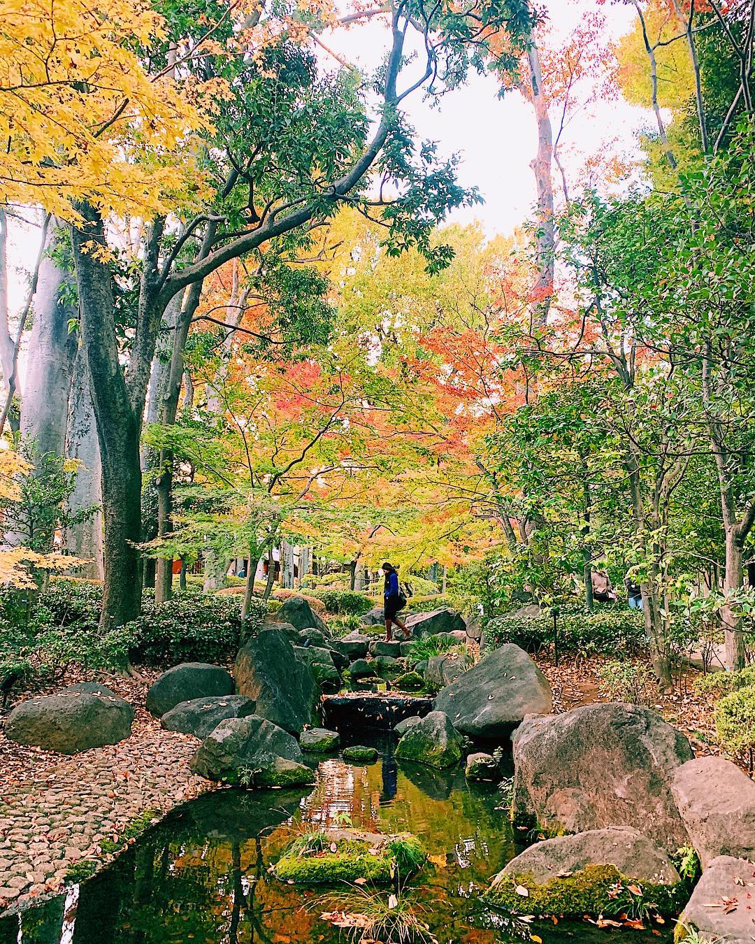 大田黑公園｜日本 Japan 日本必食 日本必吃 日本必到 日本必去 日本必買 日本必掃 日本自由行 日本行程 日本行程包 日本懶人包 日本好去處 日本景點 日本必到景點 日本必去景點 日本美食 日本交通 日本攻略 日本自由行行程 日本自由行行程推薦 日本酒店 日本飯店 日本酒店推薦 日本飯店推薦 日本必住酒店 日本必住飯店 日本必食2019 日本必吃2019 日本必到2019 日本必去2019 日本必買2019 日本必掃2019 日本自由行2019 日本行程2019 日本行程包2019 日本懶人包2019 日本好去處2019 日本景點2019 日本必到景點2019 日本必去景點2019 日本美食2019 日本交通2019 日本攻略2019 日本自由行行程2019 日本自由行行程推薦2019 日本酒店2019 日本飯店2019 日本酒店推薦2019 日本飯店推薦2019 日本必住酒店2019 日本必住飯店2019 東京 Tokyo 東京必食 東京必吃 東京必到 東京必去 東京必買 東京必掃 東京自由行 東京行程 東京行程包 東京懶人包 東京好去處 東京景點 東京必到景點 東京必去景點 東京美食 東京交通 東京攻略 東京自由行行程 東京自由行行程推薦 東京酒店 東京飯店 東京酒店推薦 東京飯店推薦 東京必住酒店 東京必住飯店 東京必食2019 東京必吃2019 東京必到2019 東京必去2019 東京必買2019 東京必掃2019 東京自由行2019 東京行程2019 東京行程包2019 東京懶人包2019 東京好去處2019 東京景點2019 東京必到景點2019 東京必去景點2019 東京美食2019 東京交通2019 東京攻略2019 東京自由行行程2019 東京自由行行程推薦2019 東京酒店2019 東京飯店2019 東京酒店推薦2019 東京飯店推薦2019 東京必住酒店2019 東京必住飯店2019 紅葉2019 楓葉2019 日本紅葉 日本楓葉 日本紅葉2019 日本楓葉2019 日本賞楓 日本賞楓2019 東京紅葉 東京楓葉 東京紅葉2019 東京楓葉2019 東京賞楓 東京賞楓2019 六義園紅葉 六義園楓葉 六義園紅葉2019 六義園楓葉2019 六義園點燈 六義園點燈2019 大田黑公園紅葉 大田黑公園楓葉 大田黑公園紅葉2019 大田黑公園楓葉2019 大田黑公園點燈 大田黑公園點燈2019 目白庭園紅葉 目白庭園楓葉 目白庭園紅葉2019 目白庭園楓葉2019 目白庭園點燈 目白庭園點燈2019 江戶東京建築園紅葉 江戶東京建築園楓葉 江戶東京建築園紅葉2019 江戶東京建築園楓葉2019 江戶東京建築園點燈 江戶東京建築園點燈2019 六義園 大田黑公園 江戶東京建築園 目白庭園