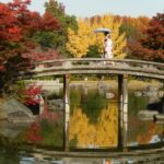 百舌鳥 大仙公園 百舌鳥站 紅葉の宴 大阪 夜間紅葉 大阪賞楓景點 大阪賞楓 景點 大阪紅葉景點 大阪紅葉 景點 大阪賞楓 大阪楓葉 大阪紅葉預測 大阪夜楓 大阪夜楓2019 大阪紅葉2019 大阪賞楓2019 大阪楓葉2019 大阪紅葉預測2019