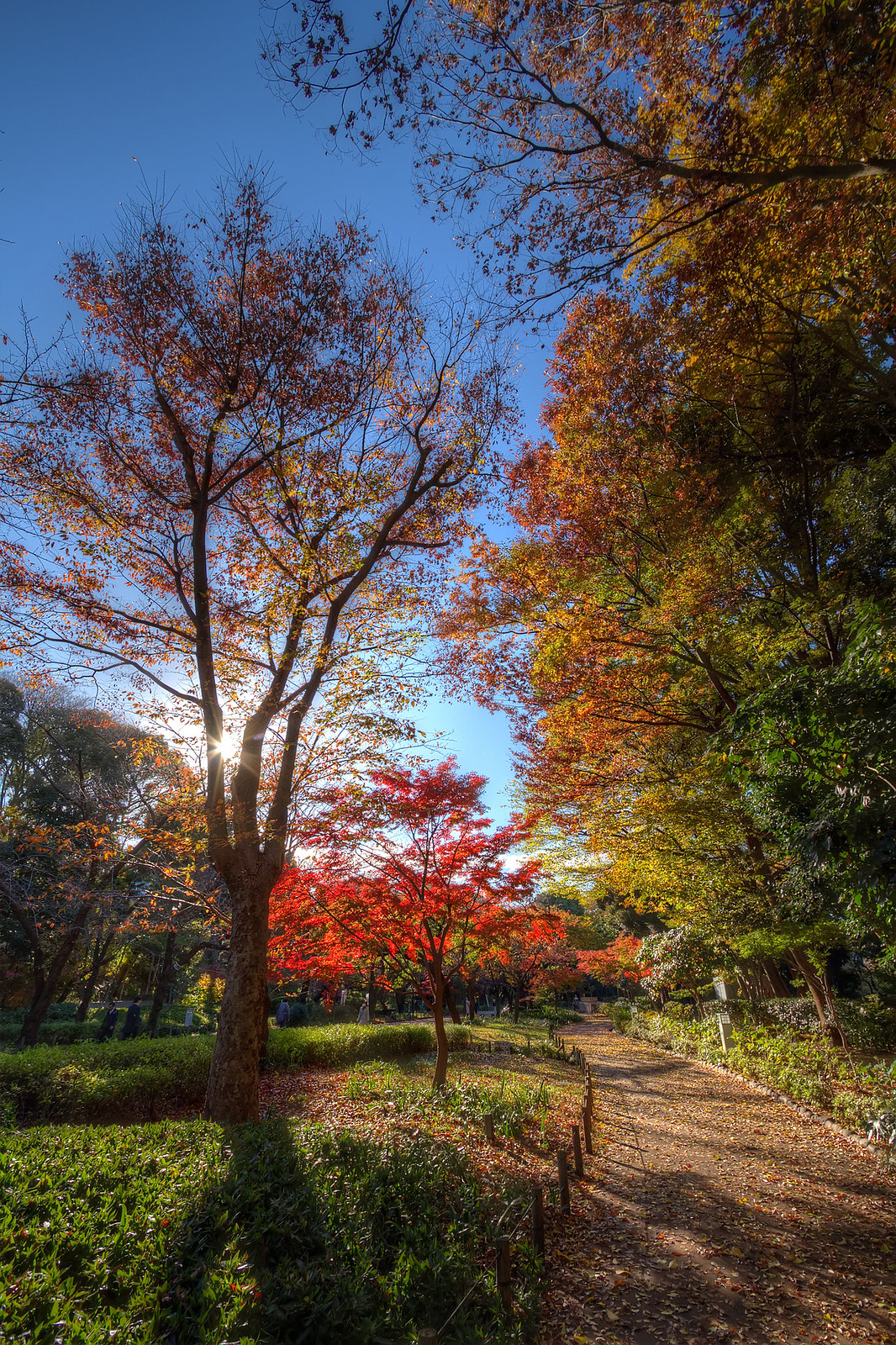 上野恩賜公園｜日本 Japan 日本必食 日本必吃 日本必到 日本必去 日本必買 日本必掃 日本自由行 日本行程 日本行程包 日本懶人包 日本好去處 日本景點 日本必到景點 日本必去景點 日本美食 日本交通 日本攻略 日本自由行行程 日本自由行行程推薦 日本酒店 日本飯店 日本酒店推薦 日本飯店推薦 日本必住酒店 日本必住飯店 日本必食2019 日本必吃2019 日本必到2019 日本必去2019 日本必買2019 日本必掃2019 日本自由行2019 日本行程2019 日本行程包2019 日本懶人包2019 日本好去處2019 日本景點2019 日本必到景點2019 日本必去景點2019 日本美食2019 日本交通2019 日本攻略2019 日本自由行行程2019 日本自由行行程推薦2019 日本酒店2019 日本飯店2019 日本酒店推薦2019 日本飯店推薦2019 日本必住酒店2019 日本必住飯店2019 東京 Tokyo 東京必食 東京必吃 東京必到 東京必去 東京必買 東京必掃 東京自由行 東京行程 東京行程包 東京懶人包 東京好去處 東京景點 東京必到景點 東京必去景點 東京美食 東京交通 東京攻略 東京自由行行程 東京自由行行程推薦 東京酒店 東京飯店 東京酒店推薦 東京飯店推薦 東京必住酒店 東京必住飯店 東京必食2019 東京必吃2019 東京必到2019 東京必去2019 東京必買2019 東京必掃2019 東京自由行2019 東京行程2019 東京行程包2019 東京懶人包2019 東京好去處2019 東京景點2019 東京必到景點2019 東京必去景點2019 東京美食2019 東京交通2019 東京攻略2019 東京自由行行程2019 東京自由行行程推薦2019 東京酒店2019 東京飯店2019 東京酒店推薦2019 東京飯店推薦2019 東京必住酒店2019 東京必住飯店2019 銀杏2019 日本銀杏 日本銀杏2019 東京銀杏 東京銀杏2019 楓葉2019 紅葉2019 日本楓葉2019 日本楓葉 日本紅葉 日本紅葉2019 東京楓葉2019 東京楓葉 東京紅葉 東京紅葉2019 國營昭和紀念公園 國營昭和紀念公園紅葉 國營昭和紀念公園楓葉 國營昭和紀念公園2019 國營昭和紀念公園紅葉2019 國營昭和紀念公園楓葉2019六義園 六義園紅葉 六義園楓葉 六義園2019 六義園紅葉2019 六義園楓葉2019 新宿御苑 新宿御苑紅葉 新宿御苑楓葉 新宿御苑2019 新宿御苑紅葉2019 新宿御苑楓葉2019 小石川後樂園 小石川後樂園紅葉 小石川後樂園楓葉 小石川後樂園2019 小石川後樂園紅葉2019 小石川後樂園楓葉2019 井之頭恩賜公園 井之頭恩賜公園紅葉 井之頭恩賜公園楓葉 井之頭恩賜公園2019 井之頭恩賜公園紅葉2019 井之頭恩賜公園楓葉2019 飛鳥山公園 飛鳥山公園紅葉 飛鳥山公園楓葉 飛鳥山公園2019 飛鳥山公園紅葉2019 飛鳥山公園楓葉2019 代代木公園 代代木公園紅葉 代代木公園楓葉 代代木公園2019 代代木公園紅葉2019 代代木公園楓葉2019 上野恩賜公園 上野恩賜公園紅葉 上野恩賜公園楓葉 上野恩賜公園2019 上野恩賜公園紅葉2019 上野恩賜公園楓葉2019 上野恩賜公園門票 上野恩賜公園地圖 上野恩賜公園交通 上野恩賜公園櫻花 上野恩賜公園2019 上野恩賜公園夏天 上野恩賜公園星巴克 上野恩賜公園楓葉 上野恩賜公園官網 上野公園門票