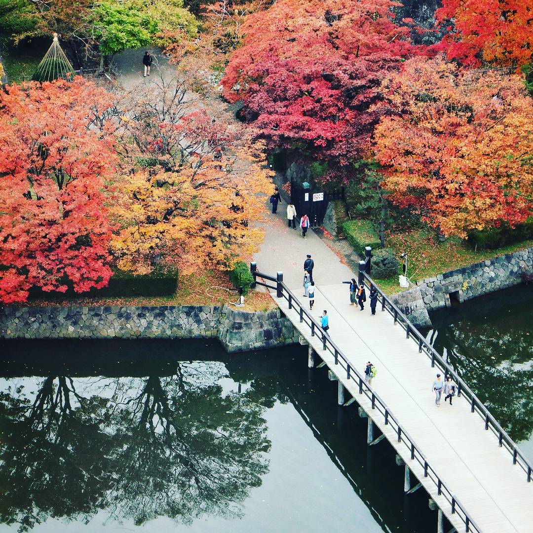 五稜郭｜日本 Japan 日本必食 日本必吃 日本必到 日本必去 日本必買 日本必掃 日本自由行 日本行程 日本行程包 日本懶人包 日本好去處 日本景點 日本必到景點 日本必去景點 日本美食 日本交通 日本攻略 日本自由行行程 日本自由行行程推薦 日本酒店 日本飯店 日本酒店推薦 日本飯店推薦 日本必住酒店 日本必住飯店 日本必食2019 日本必吃2019 日本必到2019 日本必去2019 日本必買2019 日本必掃2019 日本自由行2019 日本行程2019 日本行程包2019 日本懶人包2019 日本好去處2019 日本景點2019 日本必到景點2019 日本必去景點2019 日本美食2019 日本交通2019 日本攻略2019 日本自由行行程2019 日本自由行行程推薦2019 日本酒店2019 日本飯店2019 日本酒店推薦2019 日本飯店推薦2019 日本必住酒店2019 日本必住飯店2019 北海道 Hokkaido 北海道必食 北海道必吃 北海道必到 北海道必去 北海道必買 北海道北海道必掃 北海道自由行 北海道行程 北海道行程包 北海道懶人包 北海道好去處 北海道景點 北海道必到景點 北海道必去景點 北海道美食 北海道交通 北海道攻略 北海道自由行行程 北海道自由行行程推薦 北海道酒店 北海道飯店 北海道酒店推薦 北海道飯店推薦 北海道必住酒店 北海道必住飯店 北海道必吃2019 北海道必到2019 北海道必去2019 北海道必買2019 北海道必掃2019 北海道自由行2019 北海道行程2019 北海道行程包2019 北海道懶人包2019 北海道好去處2019 北海道景點2019 北海道必到景點2019 北海道必去景點2019 北海道美食2019 北海道交通2019 北海道攻略2019 北海道自由行行程2019 北海道自由行行程推薦2019 北海道酒店2019 北海道飯店2019 北海道酒店推薦2019 北海道飯店推薦2019 北海道必住酒店2019 北海道必住飯店2019 北海道紅葉預測 北海道楓葉預測 見晴公園 香雪園 函館 五稜郭 大沼國定公園 大沼 大湯沼 登別 豐平峽 札幌 藻岩山 札幌 北海道大學 青池 美瑛 大雪山國立公園 上川 知床五湖 知床半島 五稜郭塔 五稜郭櫻花 五稜郭夜景 五稜郭美食 五稜郭塔折價券2019 五稜郭塔折價券2018 五稜郭冬天 五稜郭點燈 五稜郭設計 五稜郭逛街