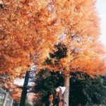 井之頭恩賜公園｜日本 Japan 日本必食 日本必吃 日本必到 日本必去 日本必買 日本必掃 日本自由行 日本行程 日本行程包 日本懶人包 日本好去處 日本景點 日本必到景點 日本必去景點 日本美食 日本交通 日本攻略 日本自由行行程 日本自由行行程推薦 日本酒店 日本飯店 日本酒店推薦 日本飯店推薦 日本必住酒店 日本必住飯店 日本必食2019 日本必吃2019 日本必到2019 日本必去2019 日本必買2019 日本必掃2019 日本自由行2019 日本行程2019 日本行程包2019 日本懶人包2019 日本好去處2019 日本景點2019 日本必到景點2019 日本必去景點2019 日本美食2019 日本交通2019 日本攻略2019 日本自由行行程2019 日本自由行行程推薦2019 日本酒店2019 日本飯店2019 日本酒店推薦2019 日本飯店推薦2019 日本必住酒店2019 日本必住飯店2019 東京 Tokyo 東京必食 東京必吃 東京必到 東京必去 東京必買 東京必掃 東京自由行 東京行程 東京行程包 東京懶人包 東京好去處 東京景點 東京必到景點 東京必去景點 東京美食 東京交通 東京攻略 東京自由行行程 東京自由行行程推薦 東京酒店 東京飯店 東京酒店推薦 東京飯店推薦 東京必住酒店 東京必住飯店 東京必食2019 東京必吃2019 東京必到2019 東京必去2019 東京必買2019 東京必掃2019 東京自由行2019 東京行程2019 東京行程包2019 東京懶人包2019 東京好去處2019 東京景點2019 東京必到景點2019 東京必去景點2019 東京美食2019 東京交通2019 東京攻略2019 東京自由行行程2019 東京自由行行程推薦2019 東京酒店2019 東京飯店2019 東京酒店推薦2019 東京飯店推薦2019 東京必住酒店2019 東京必住飯店2019 銀杏2019 日本銀杏 日本銀杏2019 東京銀杏 東京銀杏2019 楓葉2019 紅葉2019 日本楓葉2019 日本楓葉 日本紅葉 日本紅葉2019 東京楓葉2019 東京楓葉 東京紅葉 東京紅葉2019 國營昭和紀念公園 國營昭和紀念公園紅葉 國營昭和紀念公園楓葉 國營昭和紀念公園2019 國營昭和紀念公園紅葉2019 國營昭和紀念公園楓葉2019六義園 六義園紅葉 六義園楓葉 六義園2019 六義園紅葉2019 六義園楓葉2019 新宿御苑 新宿御苑紅葉 新宿御苑楓葉 新宿御苑2019 新宿御苑紅葉2019 新宿御苑楓葉2019 小石川後樂園 小石川後樂園紅葉 小石川後樂園楓葉 小石川後樂園2019 小石川後樂園紅葉2019 小石川後樂園楓葉2019 井之頭恩賜公園 井之頭恩賜公園紅葉 井之頭恩賜公園楓葉 井之頭恩賜公園2019 井之頭恩賜公園紅葉2019 井之頭恩賜公園楓葉2019 飛鳥山公園 飛鳥山公園紅葉 飛鳥山公園楓葉 飛鳥山公園2019 飛鳥山公園紅葉2019 飛鳥山公園楓葉2019 代代木公園 代代木公園紅葉 代代木公園楓葉 代代木公園2019 代代木公園紅葉2019 代代木公園楓葉2019 上野恩賜公園 上野恩賜公園紅葉 上野恩賜公園楓葉 上野恩賜公園2019 上野恩賜公園紅葉2019 上野恩賜公園楓葉2019 井之頭恩賜公園5月 井之頭恩賜公園櫻花2019 井之頭恩賜公園野餐 井之頭恩賜公園7月 井之頭恩賜公園親子 井之頭公園站 井之頭公園命案 井之頭恩賜公園市集2019 井の頭恩賜公園 井之頭恩賜公園情侶