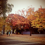 代代木公園｜日本 Japan 日本必食 日本必吃 日本必到 日本必去 日本必買 日本必掃 日本自由行 日本行程 日本行程包 日本懶人包 日本好去處 日本景點 日本必到景點 日本必去景點 日本美食 日本交通 日本攻略 日本自由行行程 日本自由行行程推薦 日本酒店 日本飯店 日本酒店推薦 日本飯店推薦 日本必住酒店 日本必住飯店 日本必食2019 日本必吃2019 日本必到2019 日本必去2019 日本必買2019 日本必掃2019 日本自由行2019 日本行程2019 日本行程包2019 日本懶人包2019 日本好去處2019 日本景點2019 日本必到景點2019 日本必去景點2019 日本美食2019 日本交通2019 日本攻略2019 日本自由行行程2019 日本自由行行程推薦2019 日本酒店2019 日本飯店2019 日本酒店推薦2019 日本飯店推薦2019 日本必住酒店2019 日本必住飯店2019 東京 Tokyo 東京必食 東京必吃 東京必到 東京必去 東京必買 東京必掃 東京自由行 東京行程 東京行程包 東京懶人包 東京好去處 東京景點 東京必到景點 東京必去景點 東京美食 東京交通 東京攻略 東京自由行行程 東京自由行行程推薦 東京酒店 東京飯店 東京酒店推薦 東京飯店推薦 東京必住酒店 東京必住飯店 東京必食2019 東京必吃2019 東京必到2019 東京必去2019 東京必買2019 東京必掃2019 東京自由行2019 東京行程2019 東京行程包2019 東京懶人包2019 東京好去處2019 東京景點2019 東京必到景點2019 東京必去景點2019 東京美食2019 東京交通2019 東京攻略2019 東京自由行行程2019 東京自由行行程推薦2019 東京酒店2019 東京飯店2019 東京酒店推薦2019 東京飯店推薦2019 東京必住酒店2019 東京必住飯店2019 銀杏2019 日本銀杏 日本銀杏2019 東京銀杏 東京銀杏2019 楓葉2019 紅葉2019 日本楓葉2019 日本楓葉 日本紅葉 日本紅葉2019 東京楓葉2019 東京楓葉 東京紅葉 東京紅葉2019 國營昭和紀念公園 國營昭和紀念公園紅葉 國營昭和紀念公園楓葉 國營昭和紀念公園2019 國營昭和紀念公園紅葉2019 國營昭和紀念公園楓葉2019六義園 六義園紅葉 六義園楓葉 六義園2019 六義園紅葉2019 六義園楓葉2019 新宿御苑 新宿御苑紅葉 新宿御苑楓葉 新宿御苑2019 新宿御苑紅葉2019 新宿御苑楓葉2019 小石川後樂園 小石川後樂園紅葉 小石川後樂園楓葉 小石川後樂園2019 小石川後樂園紅葉2019 小石川後樂園楓葉2019 井之頭恩賜公園 井之頭恩賜公園紅葉 井之頭恩賜公園楓葉 井之頭恩賜公園2019 井之頭恩賜公園紅葉2019 井之頭恩賜公園楓葉2019 飛鳥山公園 飛鳥山公園紅葉 飛鳥山公園楓葉 飛鳥山公園2019 飛鳥山公園紅葉2019 飛鳥山公園楓葉2019 代代木公園 代代木公園紅葉 代代木公園楓葉 代代木公園2019 代代木公園紅葉2019 代代木公園楓葉2019 上野恩賜公園 上野恩賜公園紅葉 上野恩賜公園楓葉 上野恩賜公園2019 上野恩賜公園紅葉2019 上野恩賜公園楓葉2019 代代木公園2019 代代木公園夏天 代代木公園跳蚤市場 代代木公園2018 代代木公園櫻花2019 代代木公園美食 代代木公園騎馬 代代木公園跳舞 代代木公園冬天 代代木公園晚上