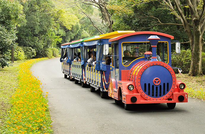 國營昭和紀念公園 ｜日本 Japan 日本必食 日本必吃 日本必到 日本必去 日本必買 日本必掃 日本自由行 日本行程 日本行程包 日本懶人包 日本好去處 日本景點 日本必到景點 日本必去景點 日本美食 日本交通 日本攻略 日本自由行行程 日本自由行行程推薦 日本酒店 日本飯店 日本酒店推薦 日本飯店推薦 日本必住酒店 日本必住飯店 日本必食2019 日本必吃2019 日本必到2019 日本必去2019 日本必買2019 日本必掃2019 日本自由行2019 日本行程2019 日本行程包2019 日本懶人包2019 日本好去處2019 日本景點2019 日本必到景點2019 日本必去景點2019 日本美食2019 日本交通2019 日本攻略2019 日本自由行行程2019 日本自由行行程推薦2019 日本酒店2019 日本飯店2019 日本酒店推薦2019 日本飯店推薦2019 日本必住酒店2019 日本必住飯店2019 東京 Tokyo 東京必食 東京必吃 東京必到 東京必去 東京必買 東京必掃 東京自由行 東京行程 東京行程包 東京懶人包 東京好去處 東京景點 東京必到景點 東京必去景點 東京美食 東京交通 東京攻略 東京自由行行程 東京自由行行程推薦 東京酒店 東京飯店 東京酒店推薦 東京飯店推薦 東京必住酒店 東京必住飯店 東京必食2019 東京必吃2019 東京必到2019 東京必去2019 東京必買2019 東京必掃2019 東京自由行2019 東京行程2019 東京行程包2019 東京懶人包2019 東京好去處2019 東京景點2019 東京必到景點2019 東京必去景點2019 東京美食2019 東京交通2019 東京攻略2019 東京自由行行程2019 東京自由行行程推薦2019 東京酒店2019 東京飯店2019 東京酒店推薦2019 東京飯店推薦2019 東京必住酒店2019 東京必住飯店2019 銀杏2019 日本銀杏 日本銀杏2019 東京銀杏 東京銀杏2019 楓葉2019 紅葉2019 日本楓葉2019 日本楓葉 日本紅葉 日本紅葉2019 東京楓葉2019 東京楓葉 東京紅葉 東京紅葉2019 國營昭和紀念公園 國營昭和紀念公園紅葉 國營昭和紀念公園楓葉 國營昭和紀念公園2019 國營昭和紀念公園紅葉2019 國營昭和紀念公園楓葉2019六義園 六義園紅葉 六義園楓葉 六義園2019 六義園紅葉2019 六義園楓葉2019 新宿御苑 新宿御苑紅葉 新宿御苑楓葉 新宿御苑2019 新宿御苑紅葉2019 新宿御苑楓葉2019 小石川後樂園 小石川後樂園紅葉 小石川後樂園楓葉 小石川後樂園2019 小石川後樂園紅葉2019 小石川後樂園楓葉2019 井之頭恩賜公園 井之頭恩賜公園紅葉 井之頭恩賜公園楓葉 井之頭恩賜公園2019 井之頭恩賜公園紅葉2019 井之頭恩賜公園楓葉2019 飛鳥山公園 飛鳥山公園紅葉 飛鳥山公園楓葉 飛鳥山公園2019 飛鳥山公園紅葉2019 飛鳥山公園楓葉2019 代代木公園 代代木公園紅葉 代代木公園楓葉 代代木公園2019 代代木公園紅葉2019 代代木公園楓葉2019 上野恩賜公園 上野恩賜公園紅葉 上野恩賜公園楓葉 上野恩賜公園2019 上野恩賜公園紅葉2019 上野恩賜公園楓葉2019 國營昭和紀念公園2019 國營昭和紀念公園銀杏2018 國營昭和紀念公園3月 國營昭和紀念公園10月 國營昭和紀念公園粉蝶花 昭和紀念公園櫻花2019 國營昭和紀念公園12月 昭和紀念公園櫻花2018 國營昭和紀念公園點燈 昭和紀念公園近期活動