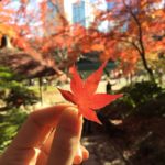 小石川後樂園｜日本 Japan 日本必食 日本必吃 日本必到 日本必去 日本必買 日本必掃 日本自由行 日本行程 日本行程包 日本懶人包 日本好去處 日本景點 日本必到景點 日本必去景點 日本美食 日本交通 日本攻略 日本自由行行程 日本自由行行程推薦 日本酒店 日本飯店 日本酒店推薦 日本飯店推薦 日本必住酒店 日本必住飯店 日本必食2019 日本必吃2019 日本必到2019 日本必去2019 日本必買2019 日本必掃2019 日本自由行2019 日本行程2019 日本行程包2019 日本懶人包2019 日本好去處2019 日本景點2019 日本必到景點2019 日本必去景點2019 日本美食2019 日本交通2019 日本攻略2019 日本自由行行程2019 日本自由行行程推薦2019 日本酒店2019 日本飯店2019 日本酒店推薦2019 日本飯店推薦2019 日本必住酒店2019 日本必住飯店2019 東京 Tokyo 東京必食 東京必吃 東京必到 東京必去 東京必買 東京必掃 東京自由行 東京行程 東京行程包 東京懶人包 東京好去處 東京景點 東京必到景點 東京必去景點 東京美食 東京交通 東京攻略 東京自由行行程 東京自由行行程推薦 東京酒店 東京飯店 東京酒店推薦 東京飯店推薦 東京必住酒店 東京必住飯店 東京必食2019 東京必吃2019 東京必到2019 東京必去2019 東京必買2019 東京必掃2019 東京自由行2019 東京行程2019 東京行程包2019 東京懶人包2019 東京好去處2019 東京景點2019 東京必到景點2019 東京必去景點2019 東京美食2019 東京交通2019 東京攻略2019 東京自由行行程2019 東京自由行行程推薦2019 東京酒店2019 東京飯店2019 東京酒店推薦2019 東京飯店推薦2019 東京必住酒店2019 東京必住飯店2019 銀杏2019 日本銀杏 日本銀杏2019 東京銀杏 東京銀杏2019 楓葉2019 紅葉2019 日本楓葉2019 日本楓葉 日本紅葉 日本紅葉2019 東京楓葉2019 東京楓葉 東京紅葉 東京紅葉2019 國營昭和紀念公園 國營昭和紀念公園紅葉 國營昭和紀念公園楓葉 國營昭和紀念公園2019 國營昭和紀念公園紅葉2019 國營昭和紀念公園楓葉2019六義園 六義園紅葉 六義園楓葉 六義園2019 六義園紅葉2019 六義園楓葉2019 新宿御苑 新宿御苑紅葉 新宿御苑楓葉 新宿御苑2019 新宿御苑紅葉2019 新宿御苑楓葉2019 小石川後樂園 小石川後樂園紅葉 小石川後樂園楓葉 小石川後樂園2019 小石川後樂園紅葉2019 小石川後樂園楓葉2019 井之頭恩賜公園 井之頭恩賜公園紅葉 井之頭恩賜公園楓葉 井之頭恩賜公園2019 井之頭恩賜公園紅葉2019 井之頭恩賜公園楓葉2019 飛鳥山公園 飛鳥山公園紅葉 飛鳥山公園楓葉 飛鳥山公園2019 飛鳥山公園紅葉2019 飛鳥山公園楓葉2019 代代木公園 代代木公園紅葉 代代木公園楓葉 代代木公園2019 代代木公園紅葉2019 代代木公園楓葉2019 上野恩賜公園 上野恩賜公園紅葉 上野恩賜公園楓葉 上野恩賜公園2019 上野恩賜公園紅葉2019 上野恩賜公園楓葉2019 小石川後樂園楓葉 小石川後樂園5月 小石川後樂園夏天 小石川後樂園2019 小石川後樂園冬天 神樂坂小石川後樂園六義園池袋 小石川後樂園景點 小石川後樂園櫻花2019 小石川後楽園 後樂園東京