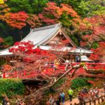 西江寺 一の橋 昆蟲館 瀧安寺 野口英世像 唐人戾橋 箕面站 箕面瀑布 箕面瀑布 大阪賞楓景點 大阪賞楓 景點 大阪紅葉景點 大阪紅葉 景點 大阪賞楓 大阪楓葉 大阪紅葉預測 大阪夜楓 大阪夜楓2019 大阪紅葉2019 大阪賞楓2019 大阪楓葉2019 大阪紅葉預測2019