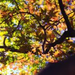 飛鳥山公園｜日本 Japan 日本必食 日本必吃 日本必到 日本必去 日本必買 日本必掃 日本自由行 日本行程 日本行程包 日本懶人包 日本好去處 日本景點 日本必到景點 日本必去景點 日本美食 日本交通 日本攻略 日本自由行行程 日本自由行行程推薦 日本酒店 日本飯店 日本酒店推薦 日本飯店推薦 日本必住酒店 日本必住飯店 日本必食2019 日本必吃2019 日本必到2019 日本必去2019 日本必買2019 日本必掃2019 日本自由行2019 日本行程2019 日本行程包2019 日本懶人包2019 日本好去處2019 日本景點2019 日本必到景點2019 日本必去景點2019 日本美食2019 日本交通2019 日本攻略2019 日本自由行行程2019 日本自由行行程推薦2019 日本酒店2019 日本飯店2019 日本酒店推薦2019 日本飯店推薦2019 日本必住酒店2019 日本必住飯店2019 東京 Tokyo 東京必食 東京必吃 東京必到 東京必去 東京必買 東京必掃 東京自由行 東京行程 東京行程包 東京懶人包 東京好去處 東京景點 東京必到景點 東京必去景點 東京美食 東京交通 東京攻略 東京自由行行程 東京自由行行程推薦 東京酒店 東京飯店 東京酒店推薦 東京飯店推薦 東京必住酒店 東京必住飯店 東京必食2019 東京必吃2019 東京必到2019 東京必去2019 東京必買2019 東京必掃2019 東京自由行2019 東京行程2019 東京行程包2019 東京懶人包2019 東京好去處2019 東京景點2019 東京必到景點2019 東京必去景點2019 東京美食2019 東京交通2019 東京攻略2019 東京自由行行程2019 東京自由行行程推薦2019 東京酒店2019 東京飯店2019 東京酒店推薦2019 東京飯店推薦2019 東京必住酒店2019 東京必住飯店2019 銀杏2019 日本銀杏 日本銀杏2019 東京銀杏 東京銀杏2019 楓葉2019 紅葉2019 日本楓葉2019 日本楓葉 日本紅葉 日本紅葉2019 東京楓葉2019 東京楓葉 東京紅葉 東京紅葉2019 國營昭和紀念公園 國營昭和紀念公園紅葉 國營昭和紀念公園楓葉 國營昭和紀念公園2019 國營昭和紀念公園紅葉2019 國營昭和紀念公園楓葉2019六義園 六義園紅葉 六義園楓葉 六義園2019 六義園紅葉2019 六義園楓葉2019 新宿御苑 新宿御苑紅葉 新宿御苑楓葉 新宿御苑2019 新宿御苑紅葉2019 新宿御苑楓葉2019 小石川後樂園 小石川後樂園紅葉 小石川後樂園楓葉 小石川後樂園2019 小石川後樂園紅葉2019 小石川後樂園楓葉2019 井之頭恩賜公園 井之頭恩賜公園紅葉 井之頭恩賜公園楓葉 井之頭恩賜公園2019 井之頭恩賜公園紅葉2019 井之頭恩賜公園楓葉2019 飛鳥山公園 飛鳥山公園紅葉 飛鳥山公園楓葉 飛鳥山公園2019 飛鳥山公園紅葉2019 飛鳥山公園楓葉2019 代代木公園 代代木公園紅葉 代代木公園楓葉 代代木公園2019 代代木公園紅葉2019 代代木公園楓葉2019 上野恩賜公園 上野恩賜公園紅葉 上野恩賜公園楓葉 上野恩賜公園2019 上野恩賜公園紅葉2019 上野恩賜公園楓葉2019